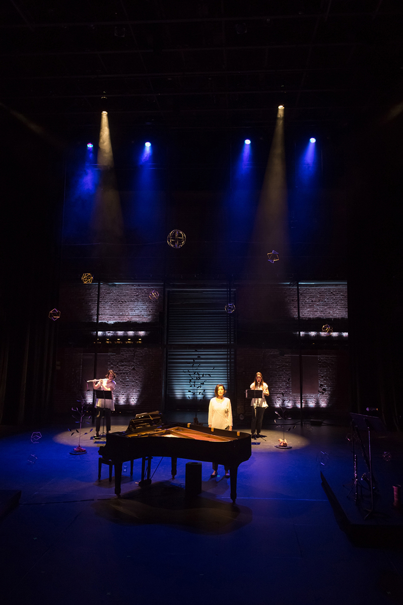 Silent Spring Project 09.jpg