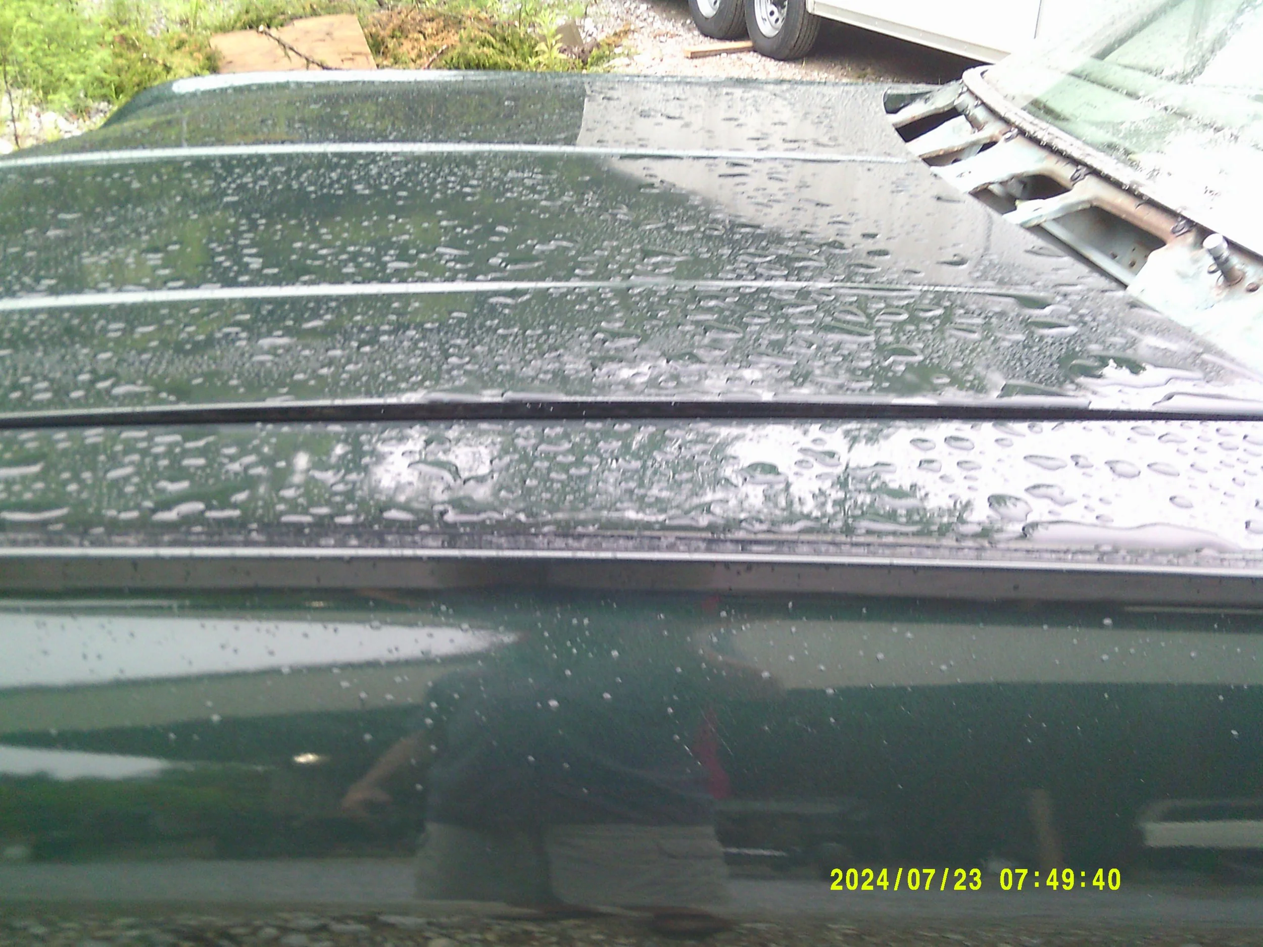 DSCF0203.JPG