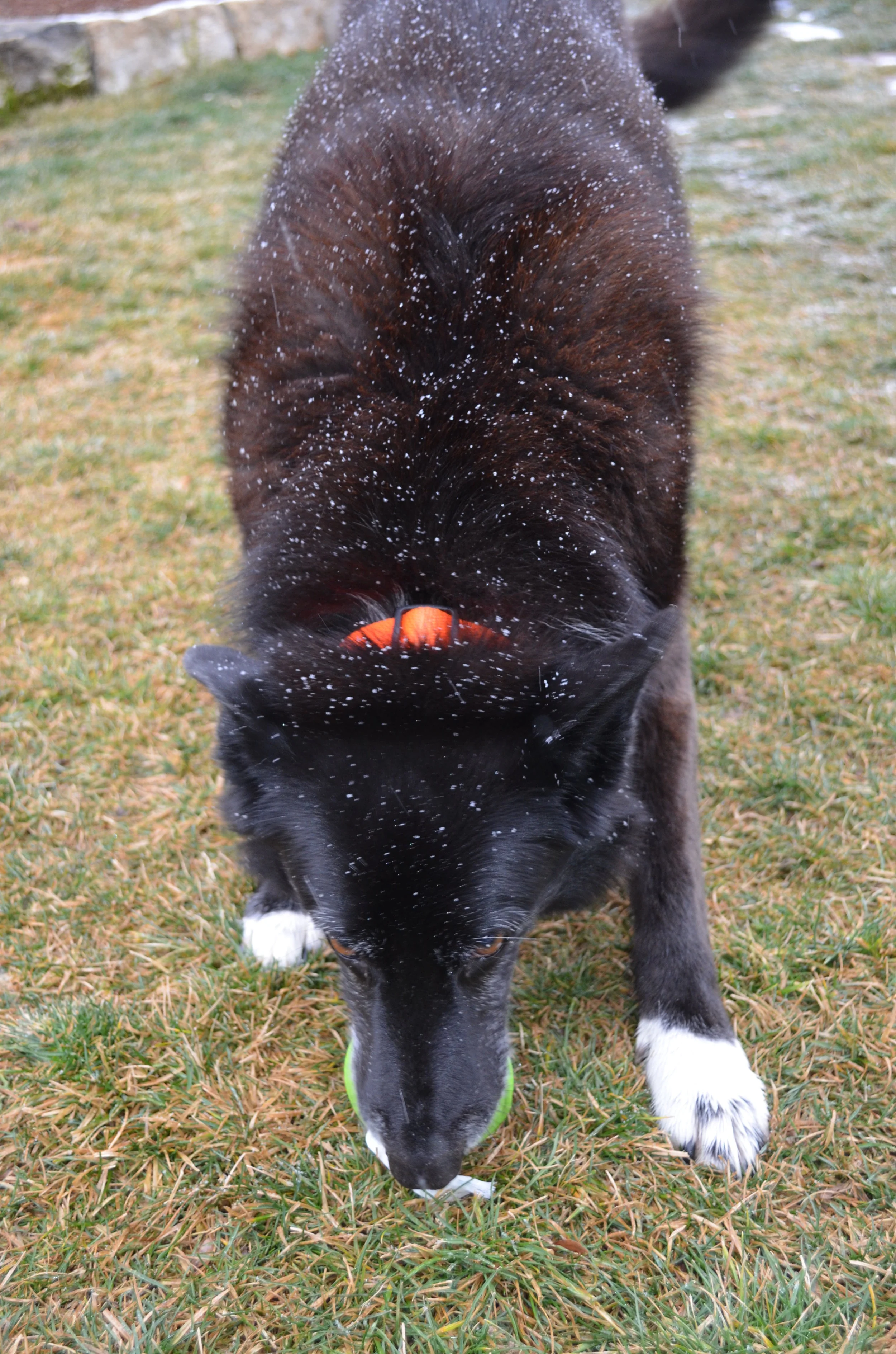 DSC_0157.JPG