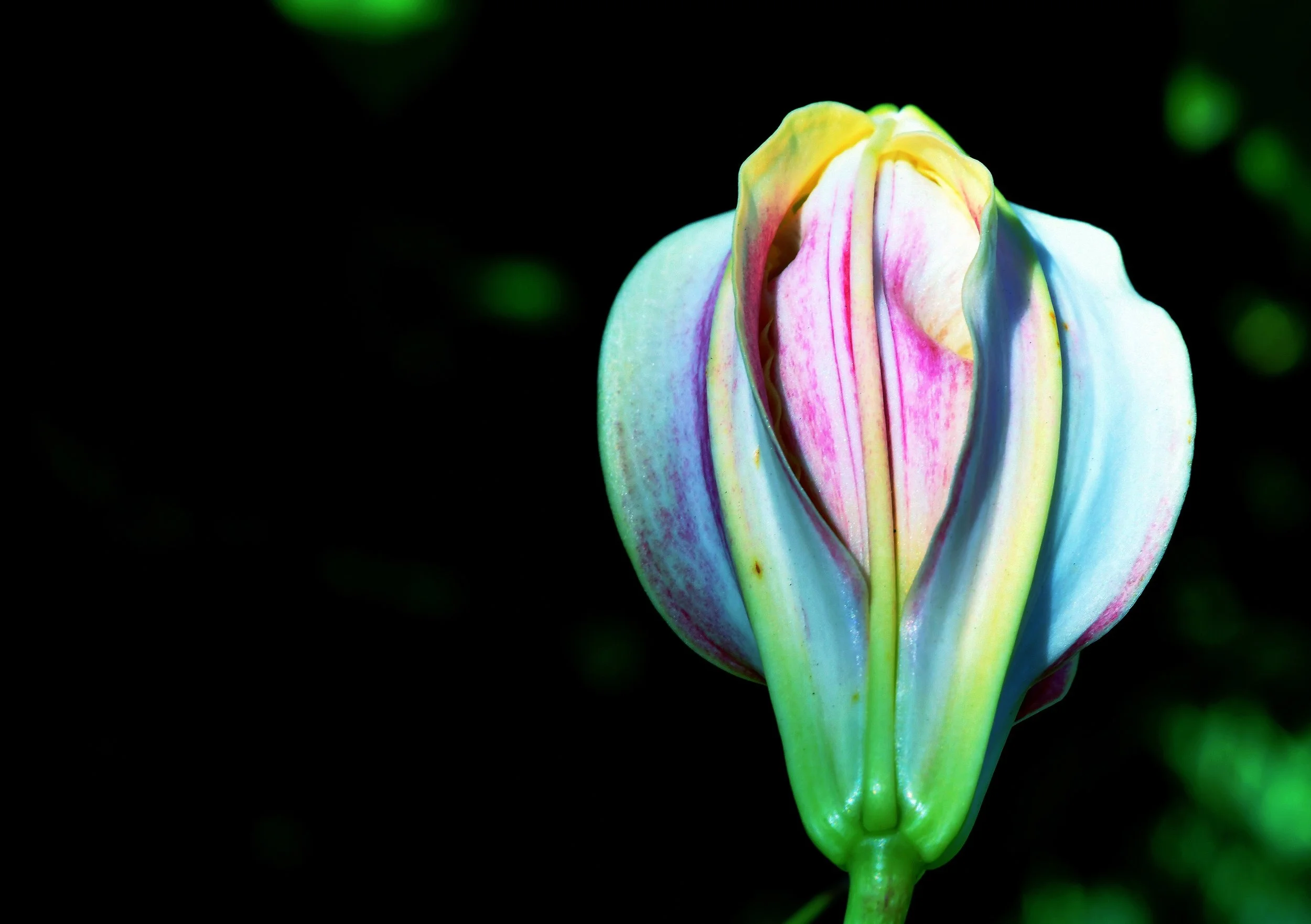  This is one of my favorites 