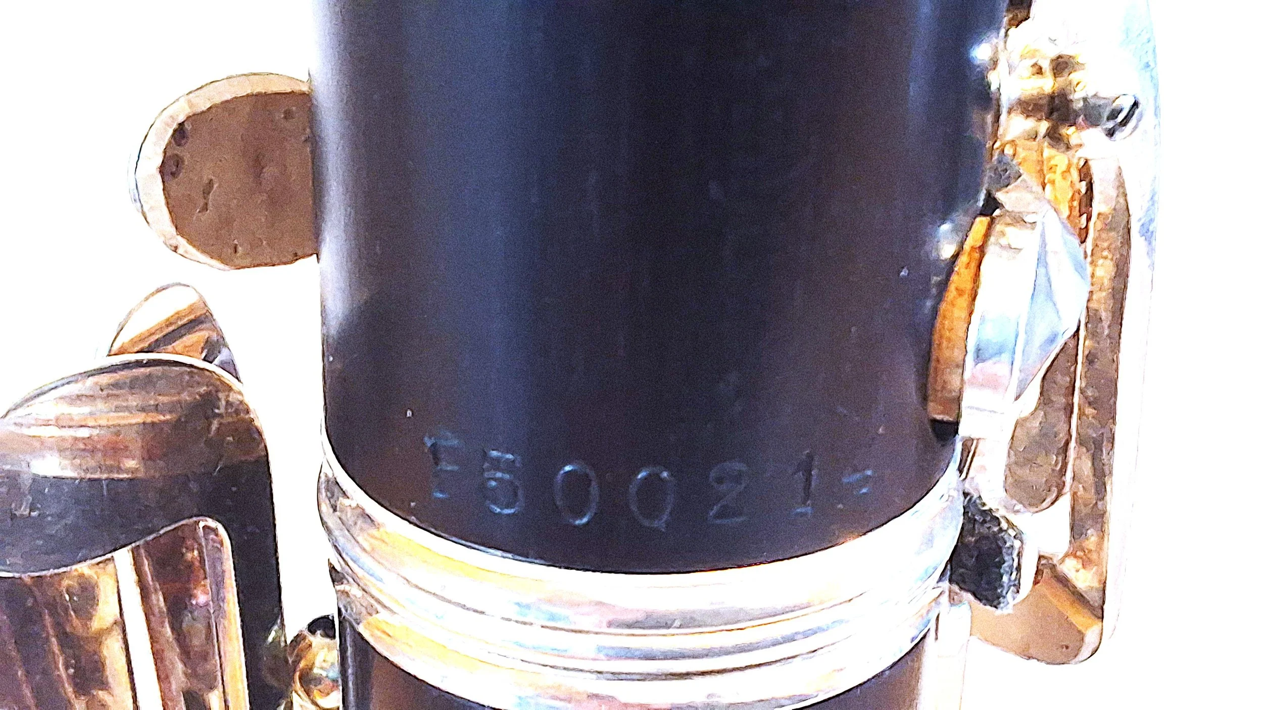 20260505_110801.jpg