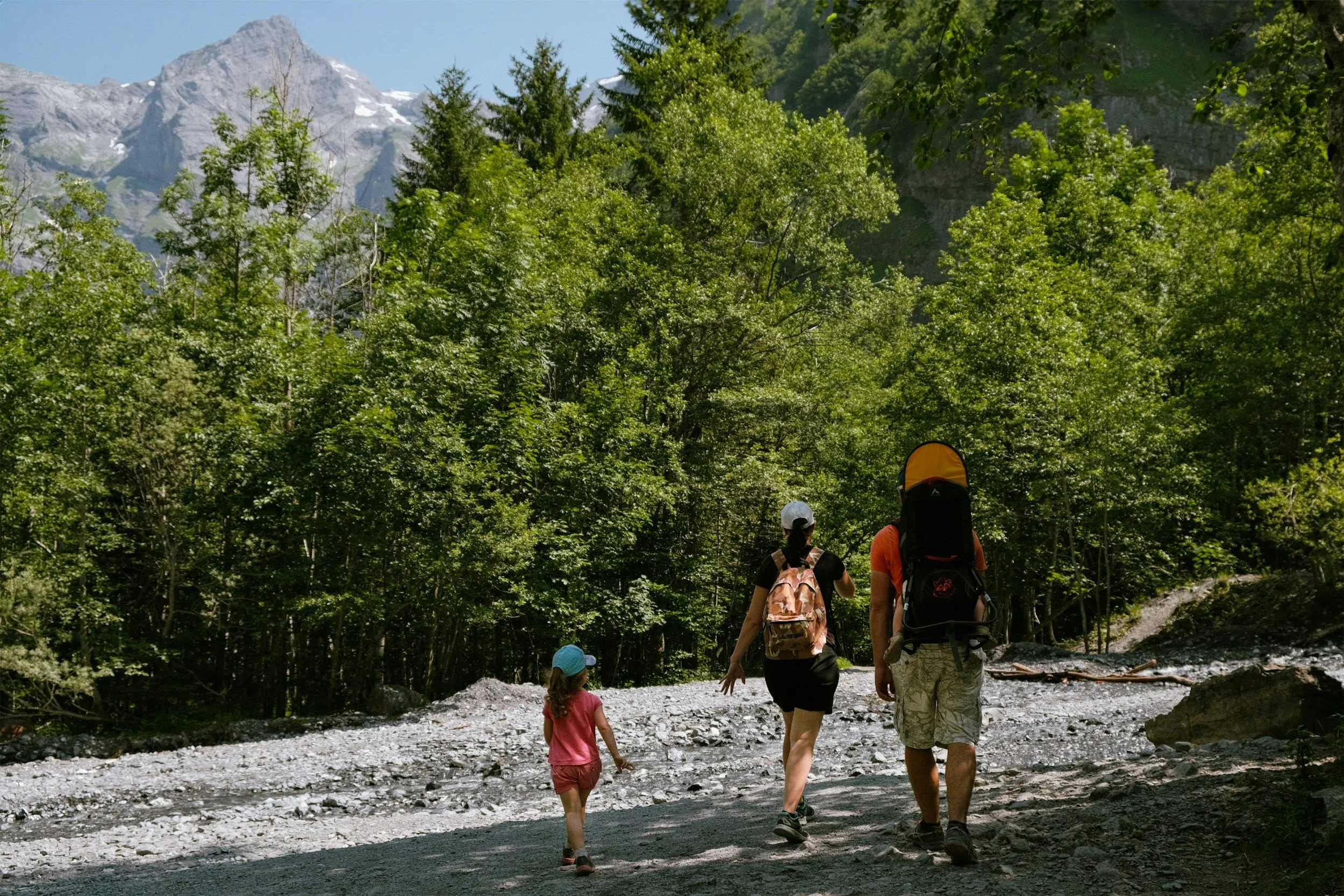 A family of four, two adults and two children, hiking on a trail through a lush green forest with mountain peaks and snow patches in the background on a sunny day.