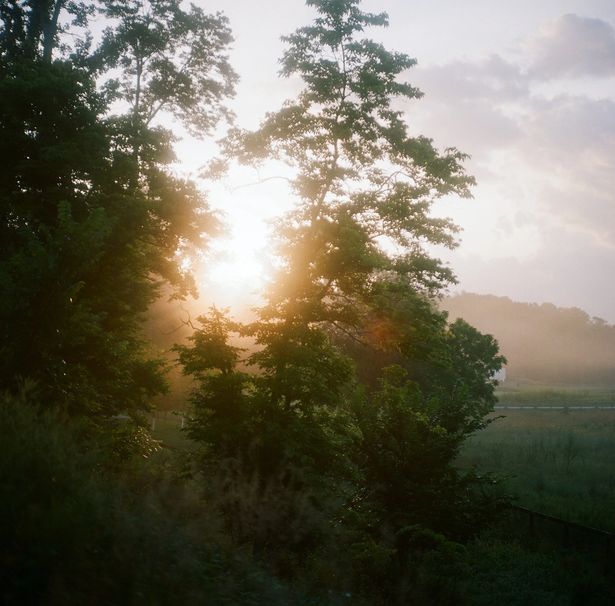 KatieGolobic-10.jpg