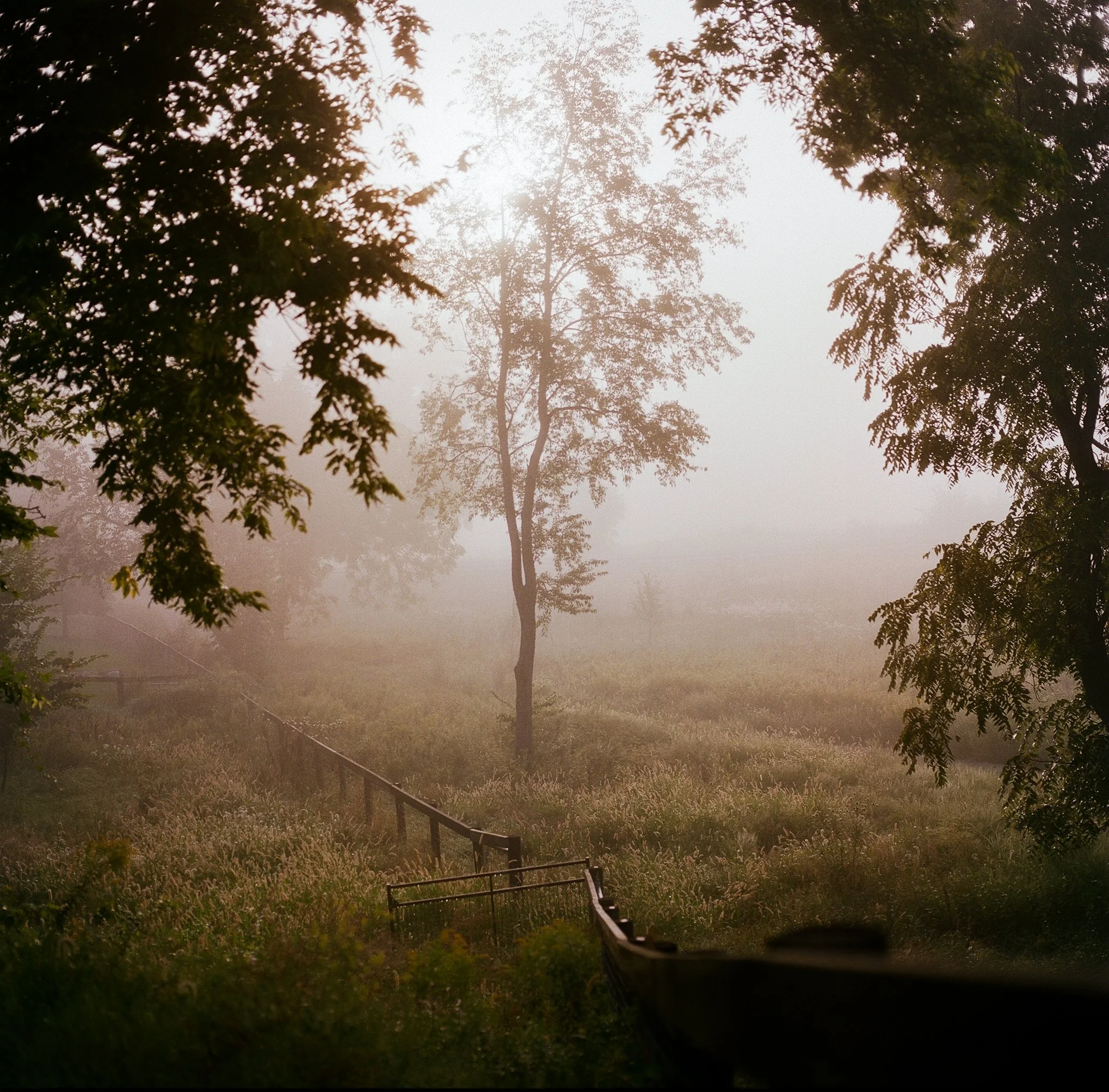 KatieGolobic-12.jpg