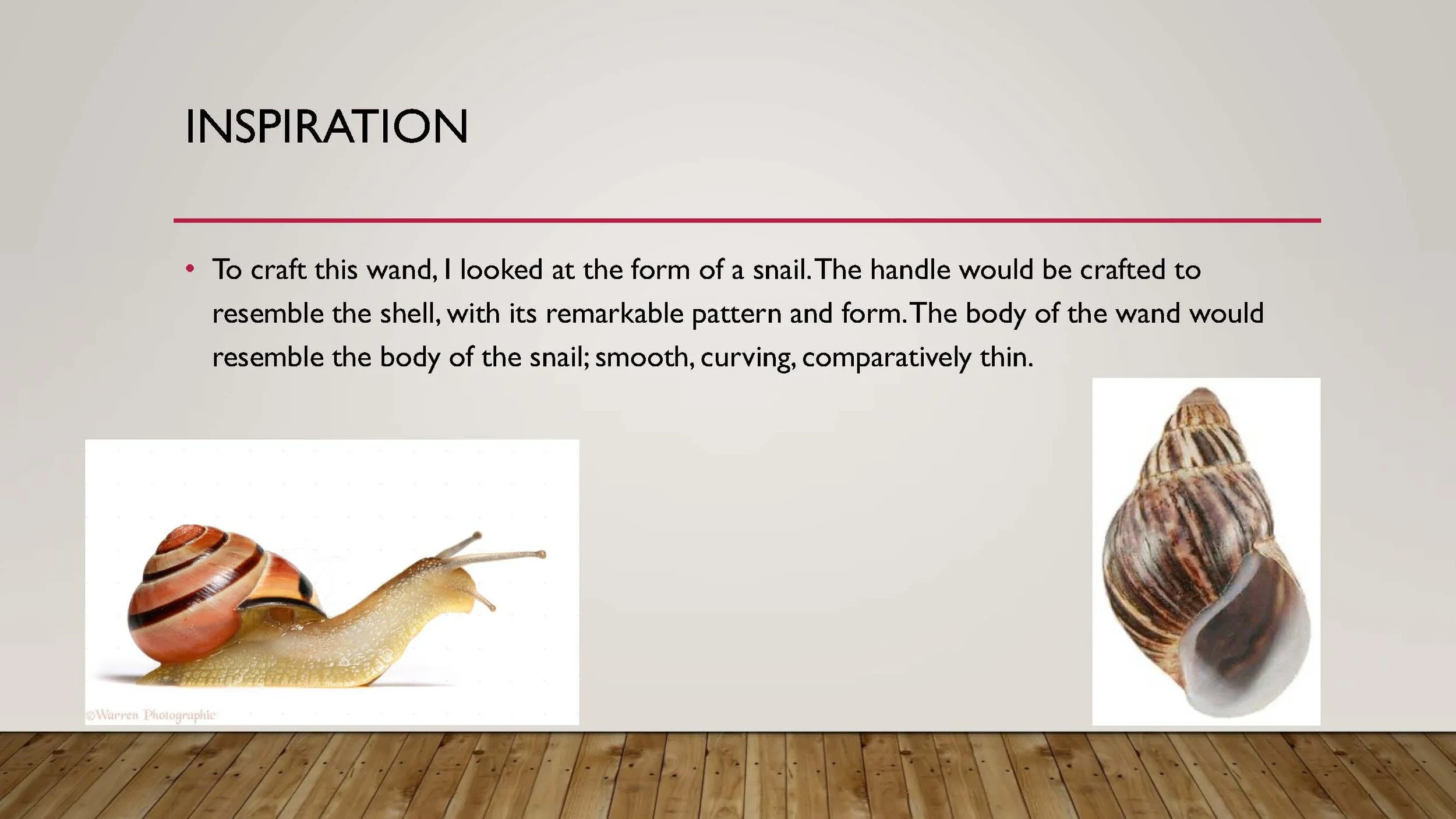 The snail Wand_Page_2.jpg