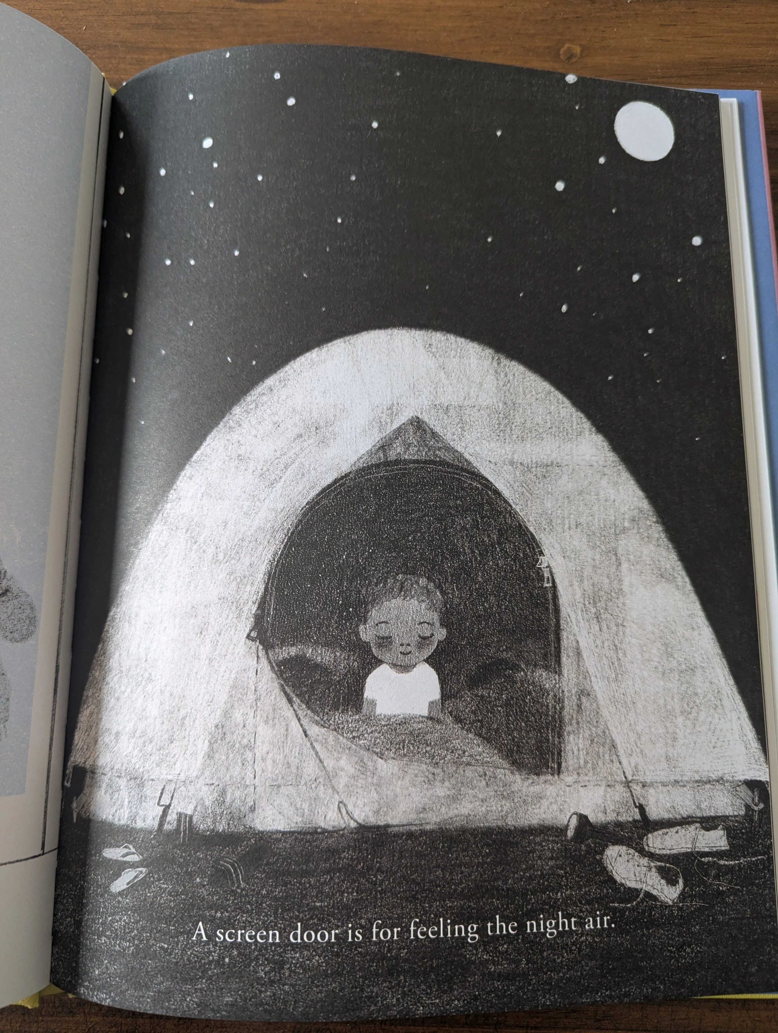 Screen door is for.jpg