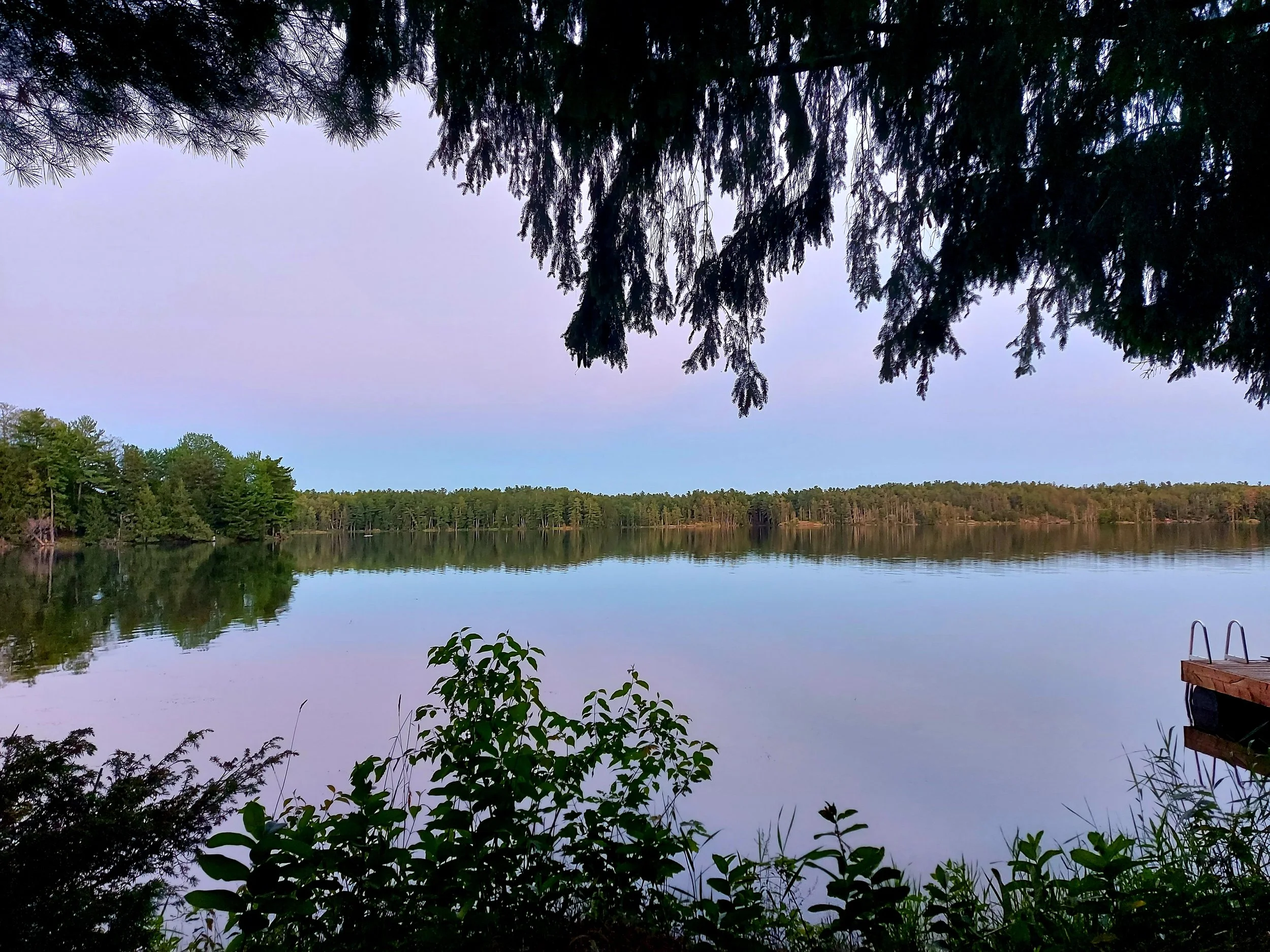 20210710_210059.jpg