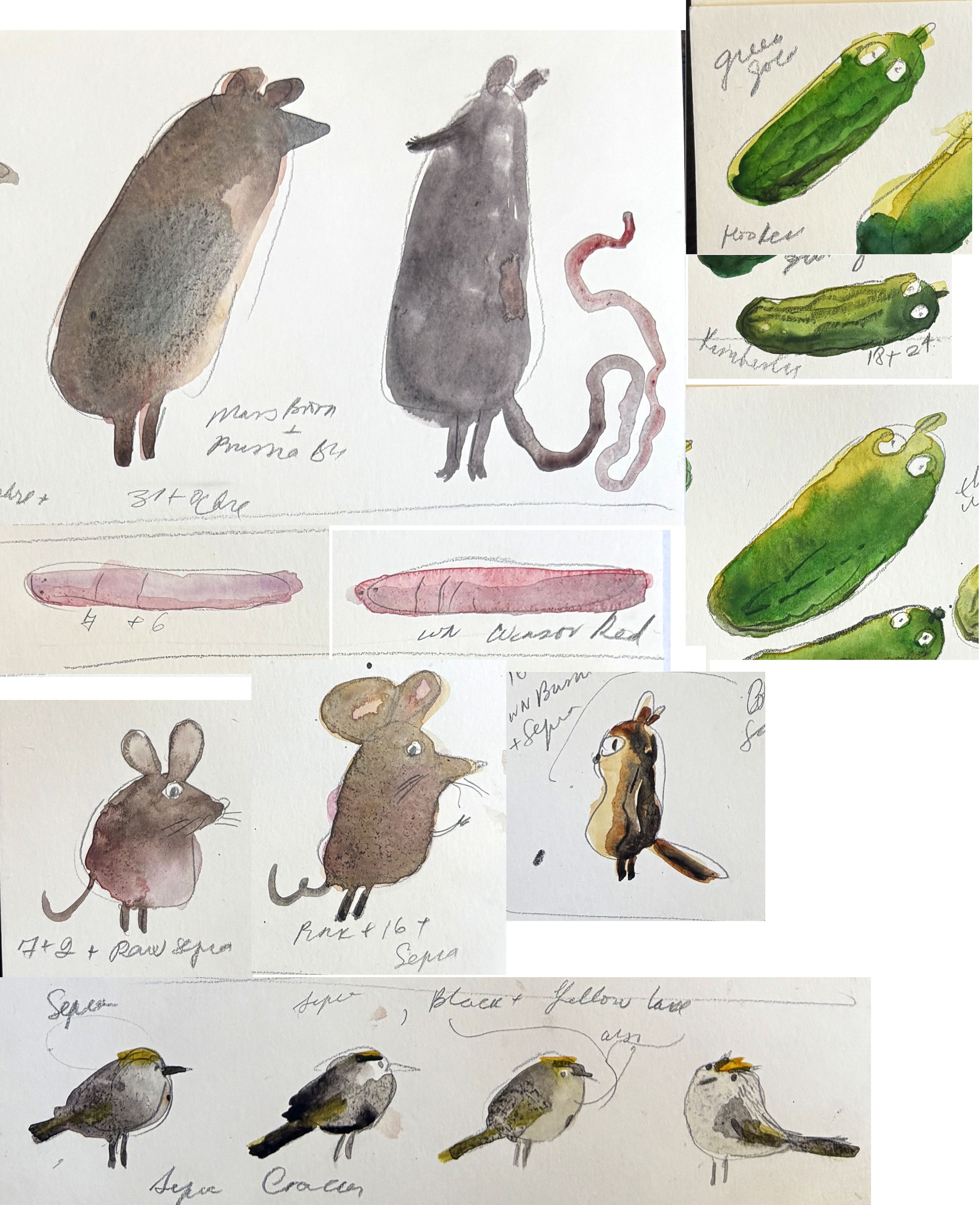 color characters.jpg