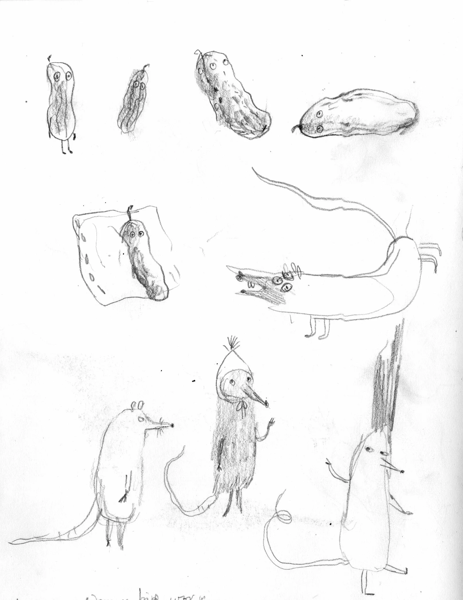 20250204_03.jpg