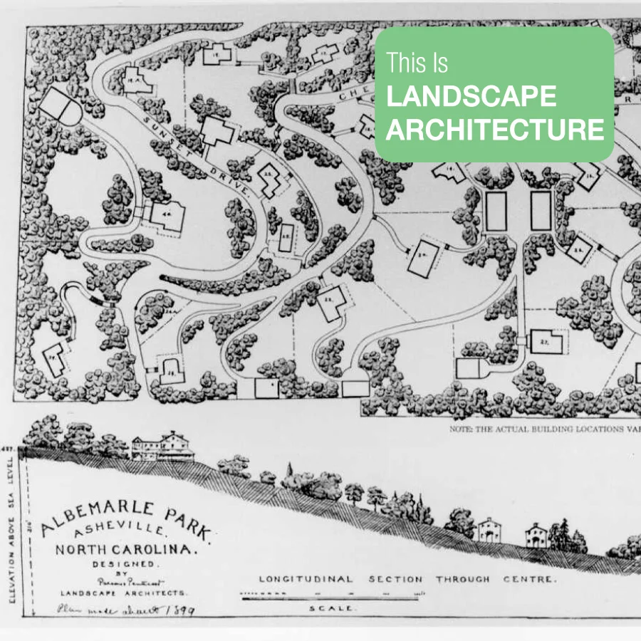 LANDIS_ALBEMARLE.jpg