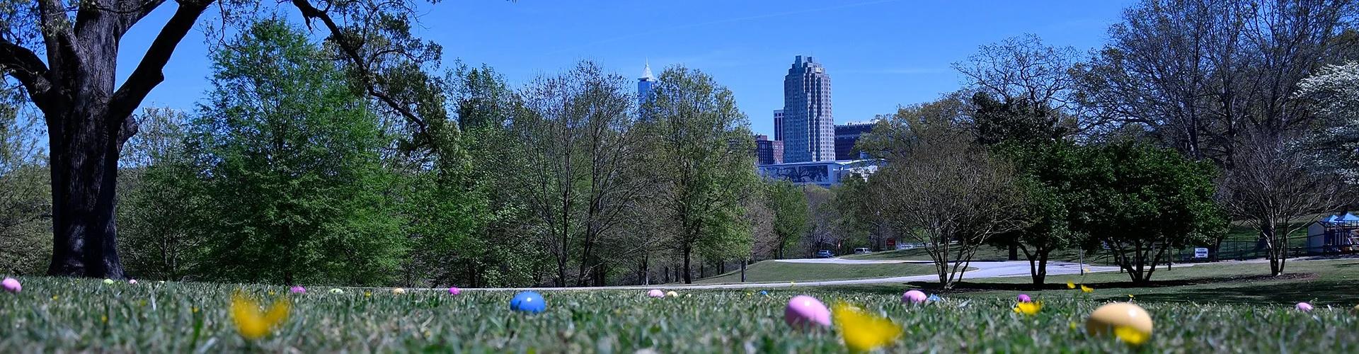 Dix Park - Third Community Meeting