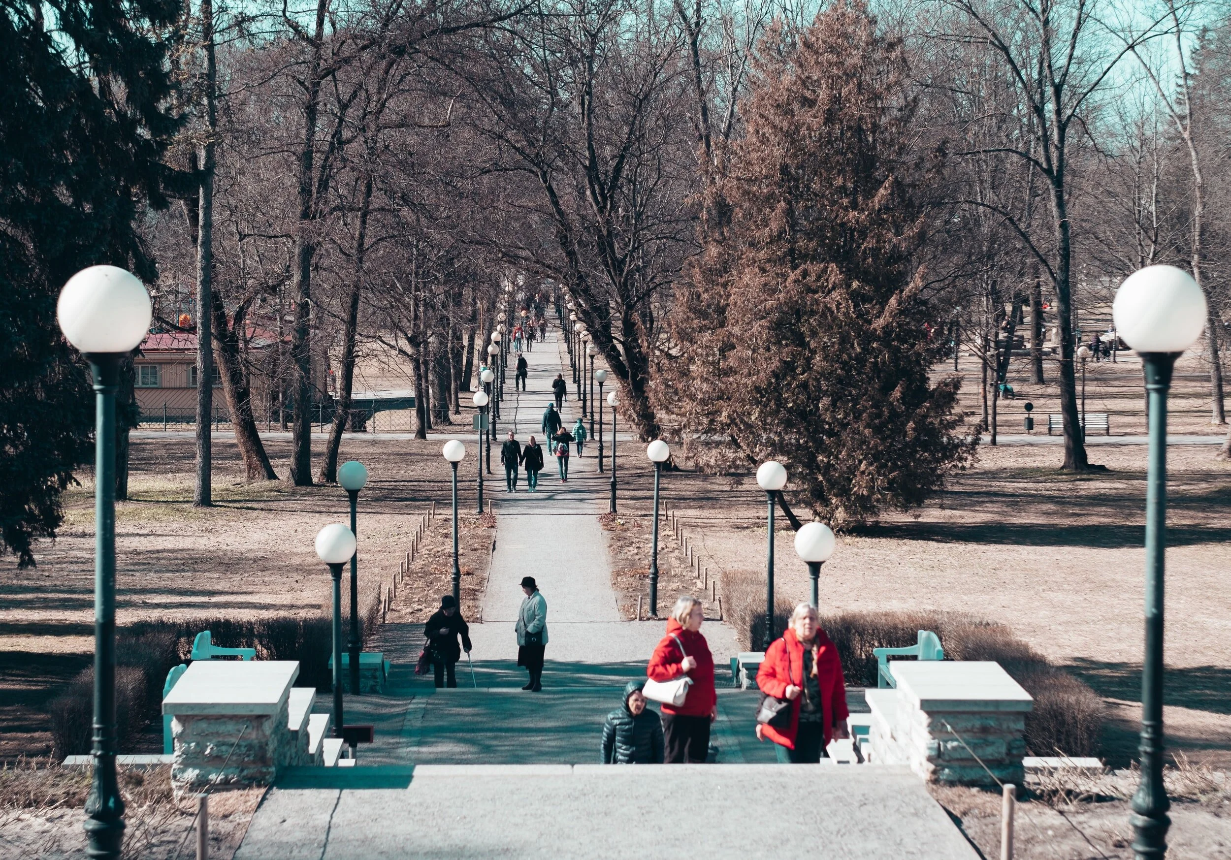 Committee Updates: Call for Volunteers and Event Participation