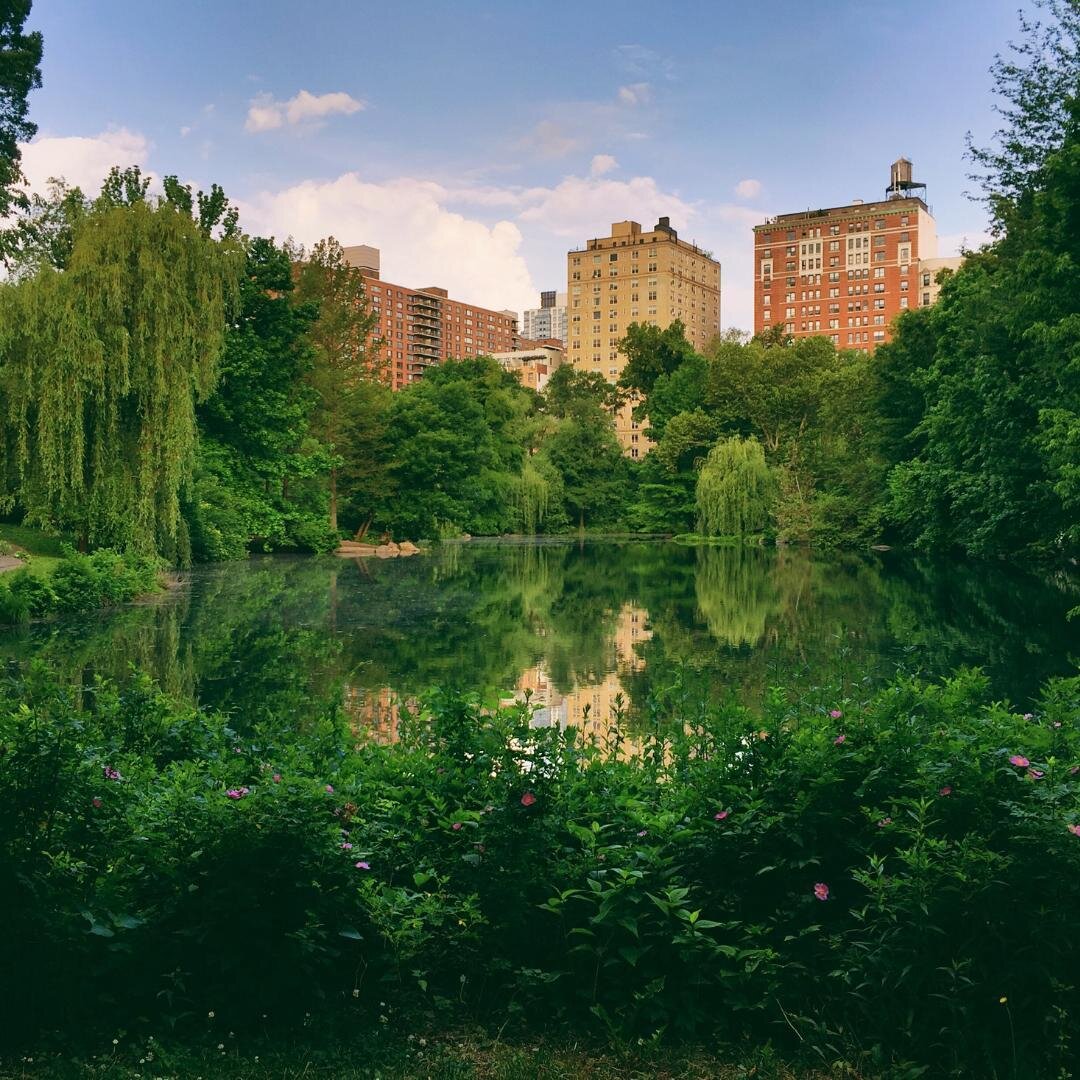 Join us for our virtual conference to learn about coastal resiliency, climate change, public heath challenges, environmental justice, and social and economic resiliency for our local communities. Save the date for May 19 - 20! http://ow.ly/7nAW50E5Bh