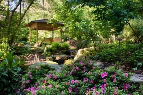 Introducing the NCASLA 2024 - 2025 Executive Committee 