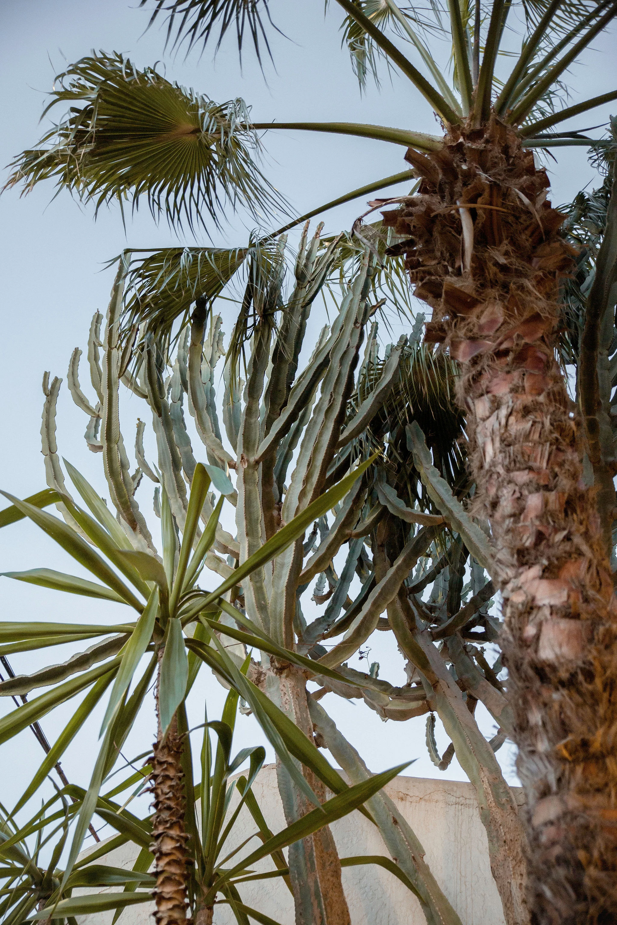 TaghazoutDFrostsamanthahunt-7501.jpg