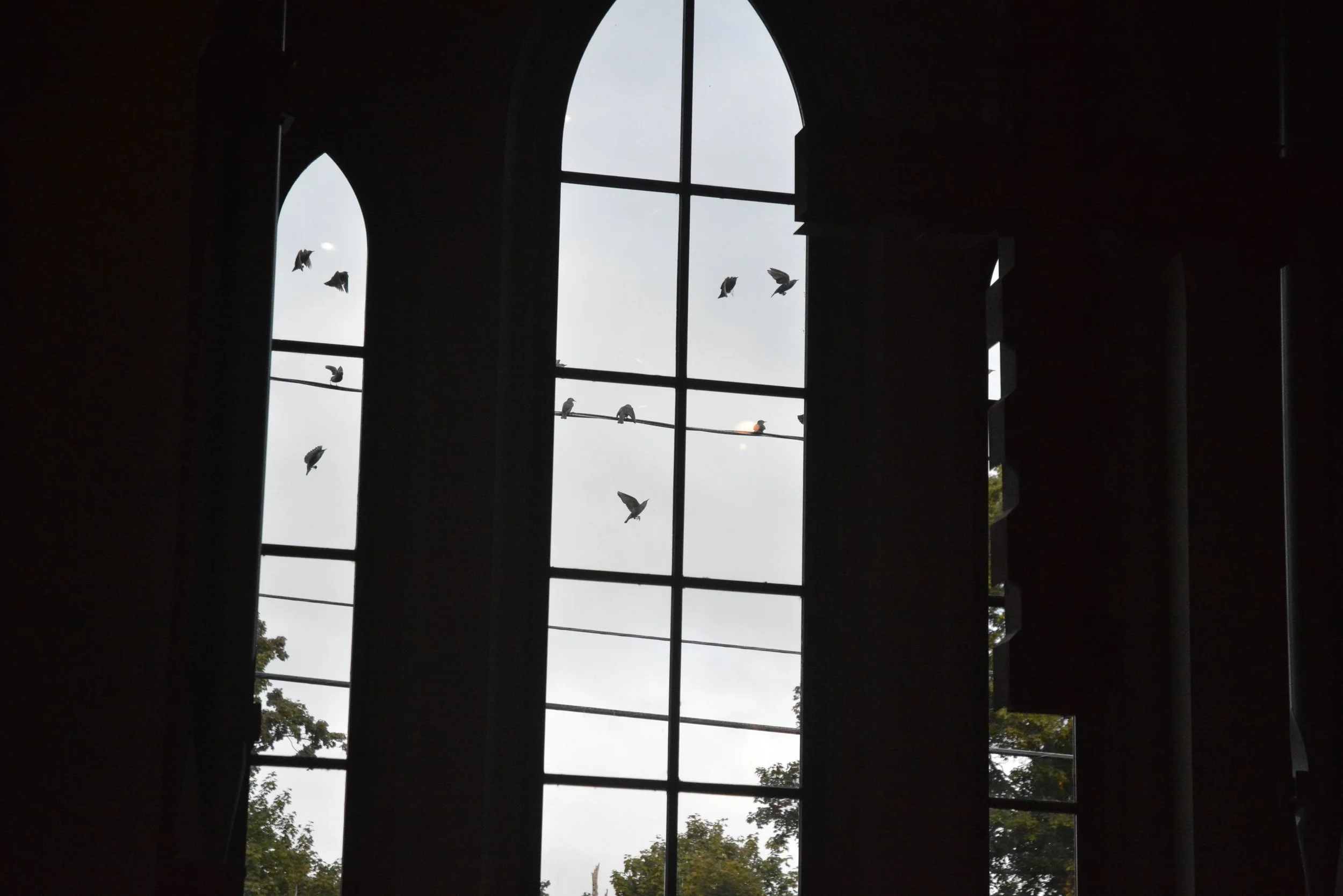 St. Francis, birds outside the window.JPG