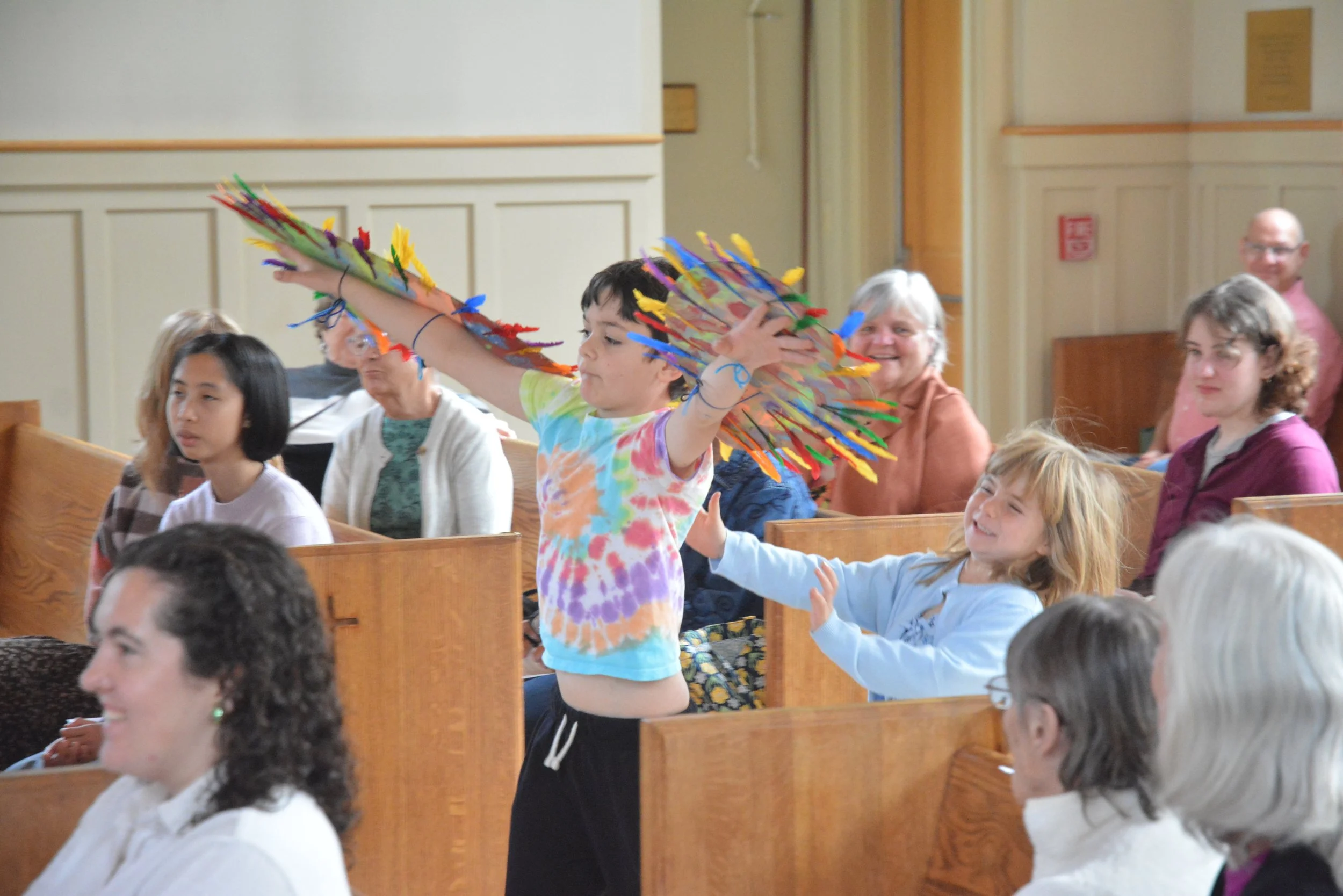 St. Francis, birds in flight (1).JPG