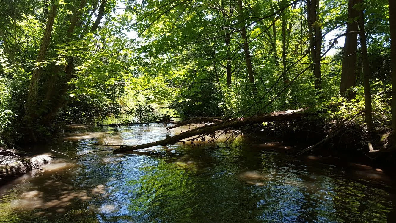 Friends of Indian Mill Creek Watershed Meeting