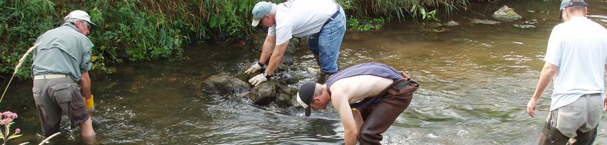 4th Annual Buck Creek Clean Up