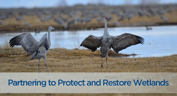 USDA Announces $15 Million Public-Private Investment to Improve Critical Wetlands | NRCS