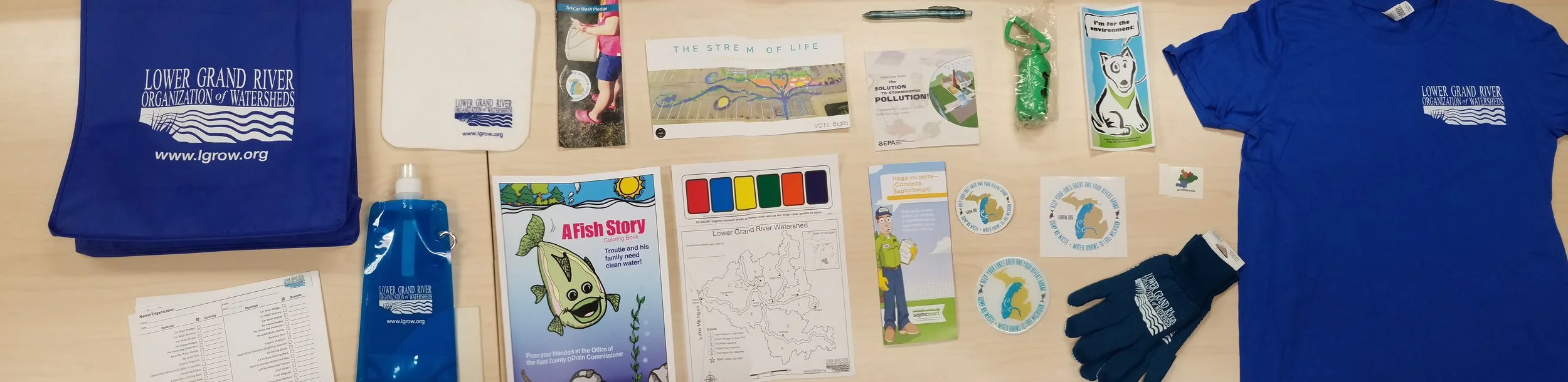 Lower Grand River Organization of Watersheds MS4 Information