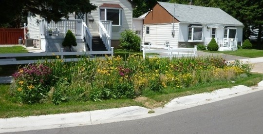 Street swales capture and treat storm water. Source: Credit Valley Conservation