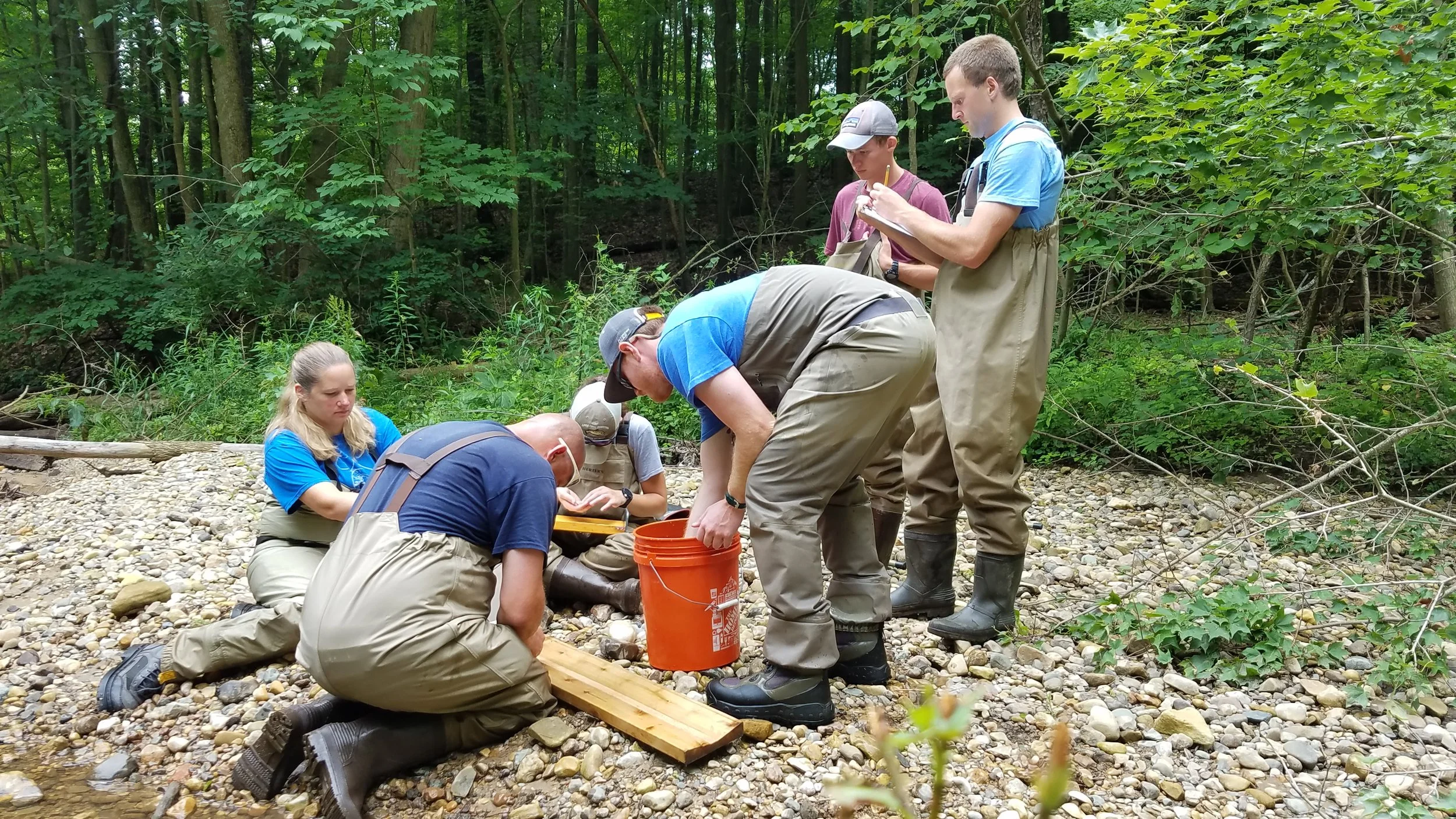 Indian Mill Creek Streambank Study 2017-18 Complete