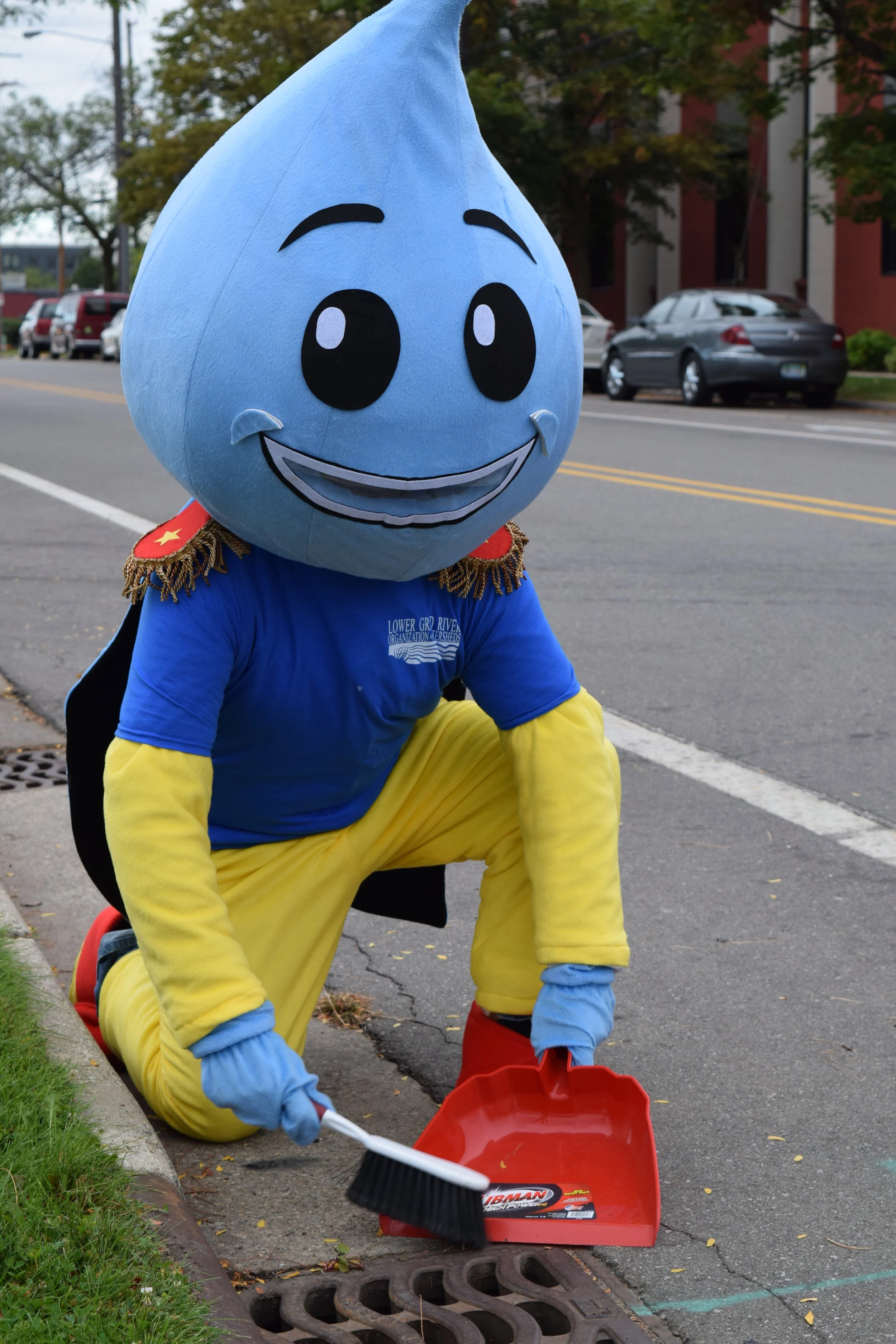 Major Runoff Catch Bacin.JPG