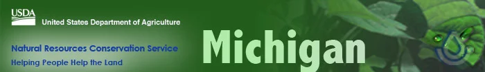 usdami.jpg