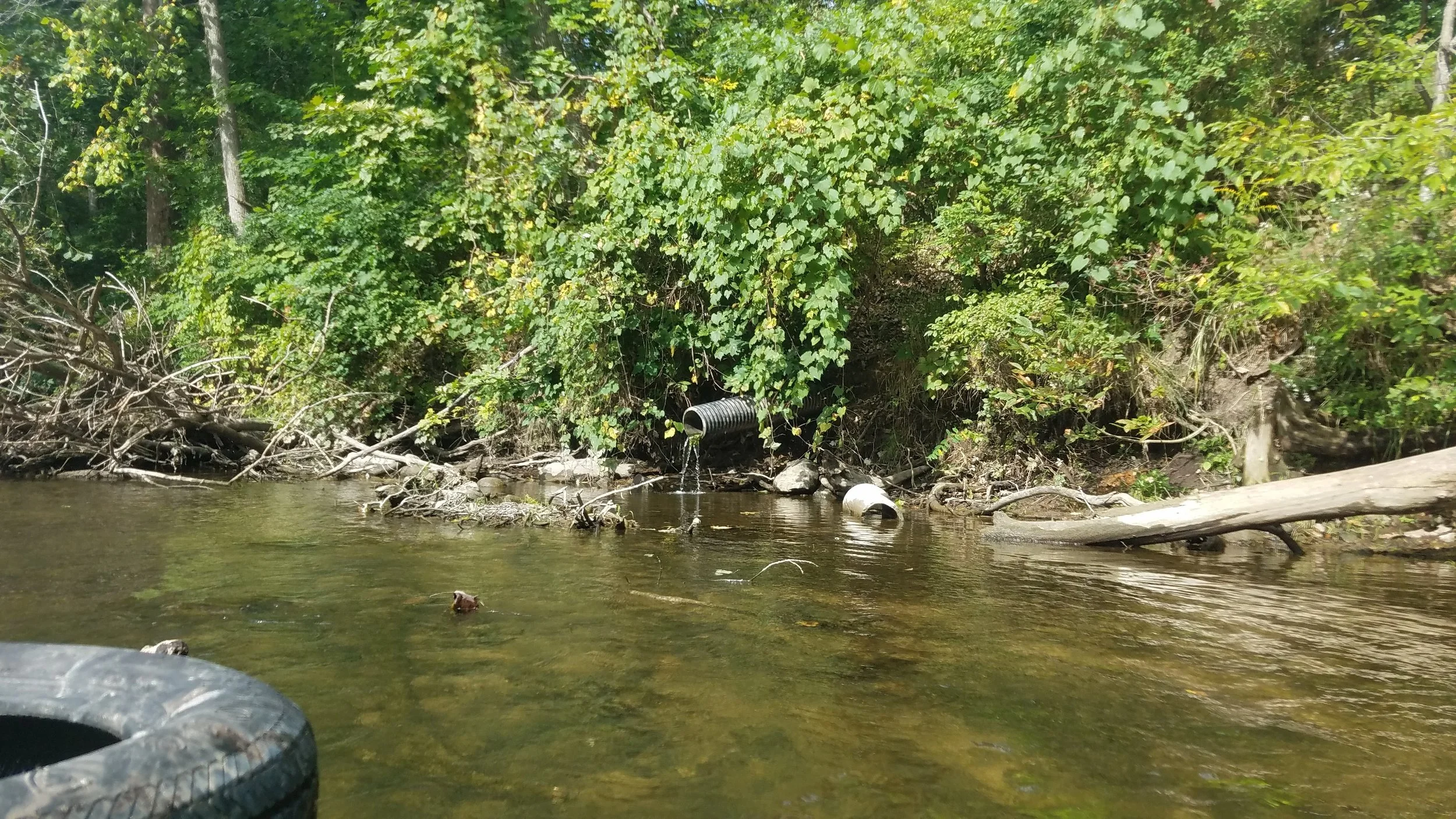 20180915_112054.jpg