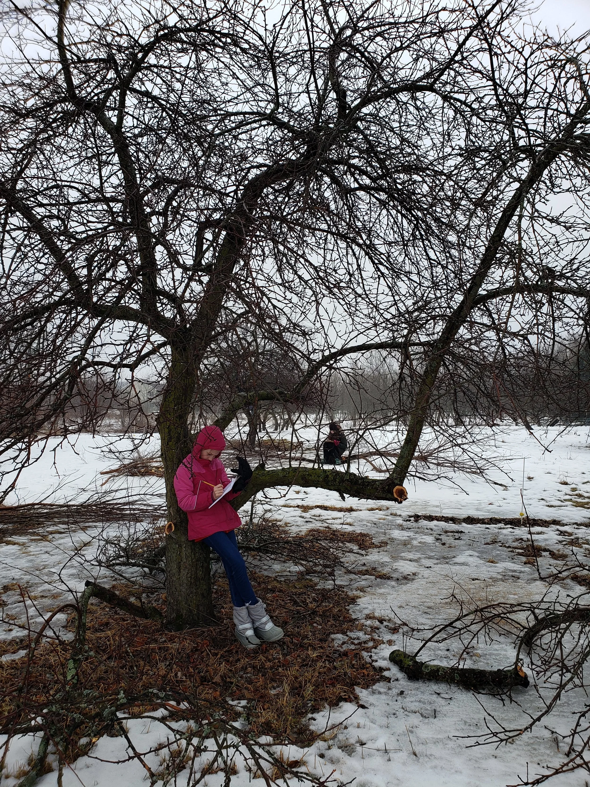 Reflecting on signs of life in the wintry orchard