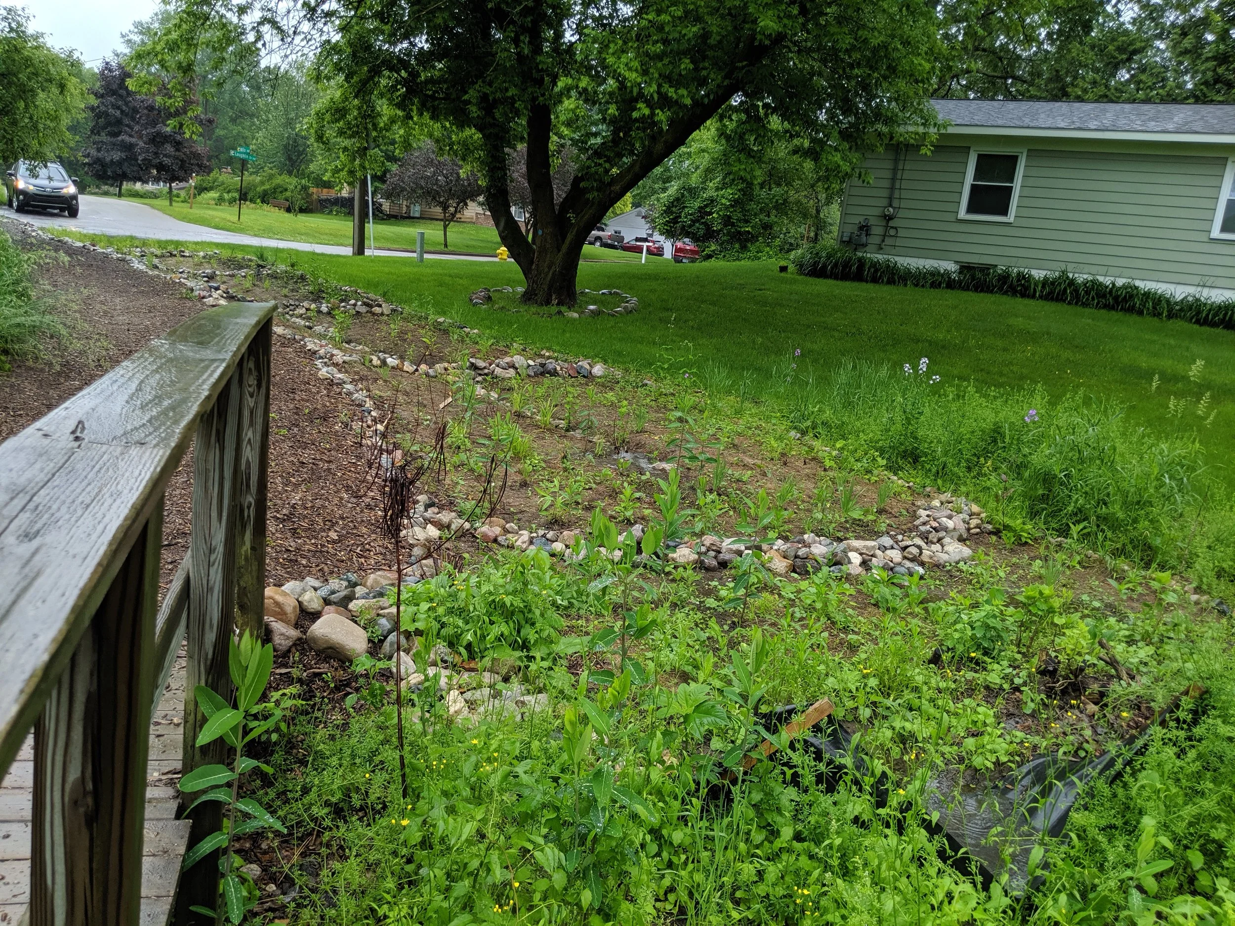 Blandford Nature Center Trail Demonstration Garden One Year Post Construction