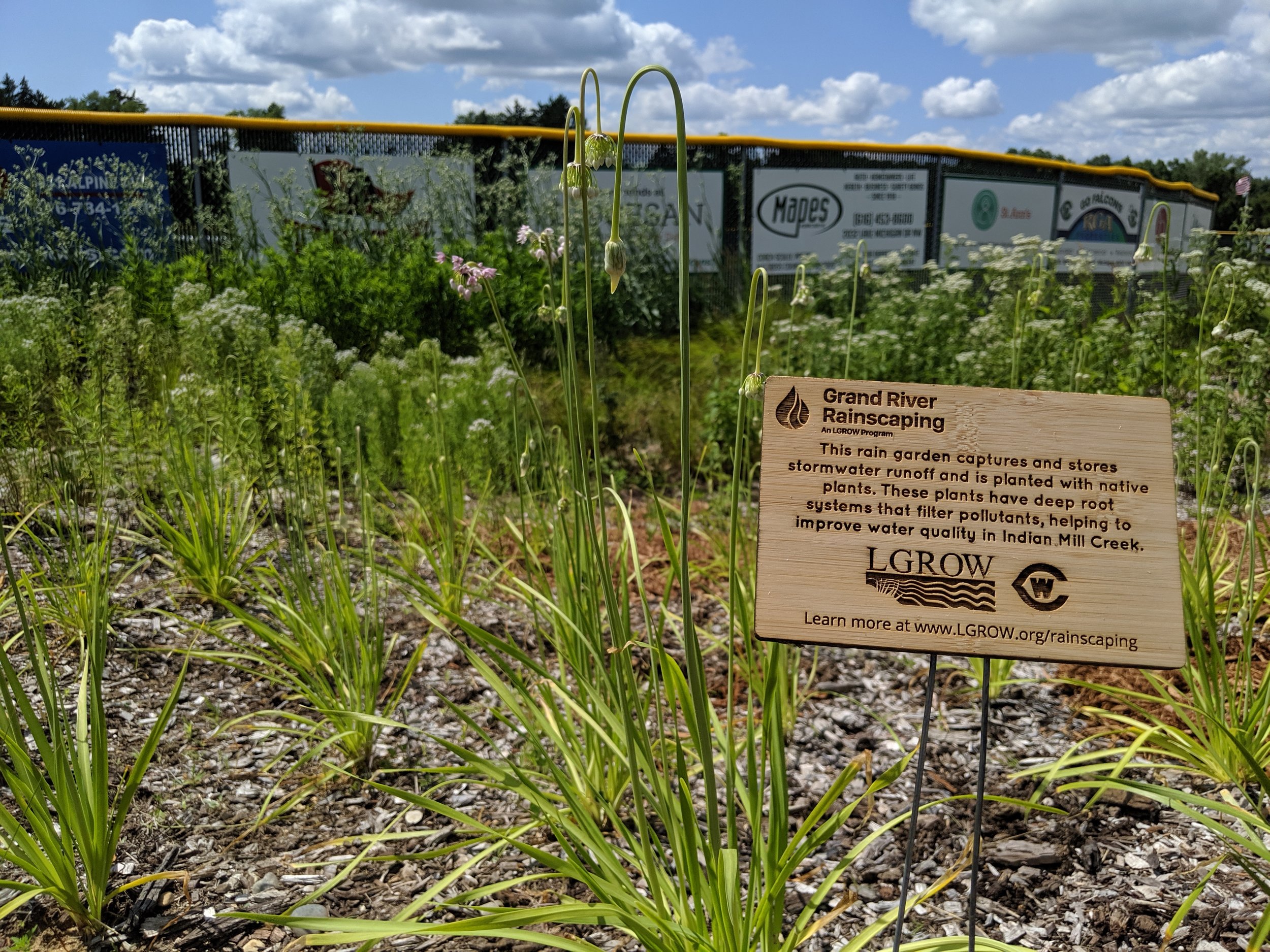 Informational sign at the West Catholic Rain Garden
