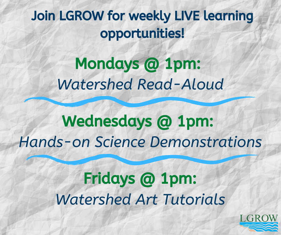 Get to know LGROW online while learning from home!