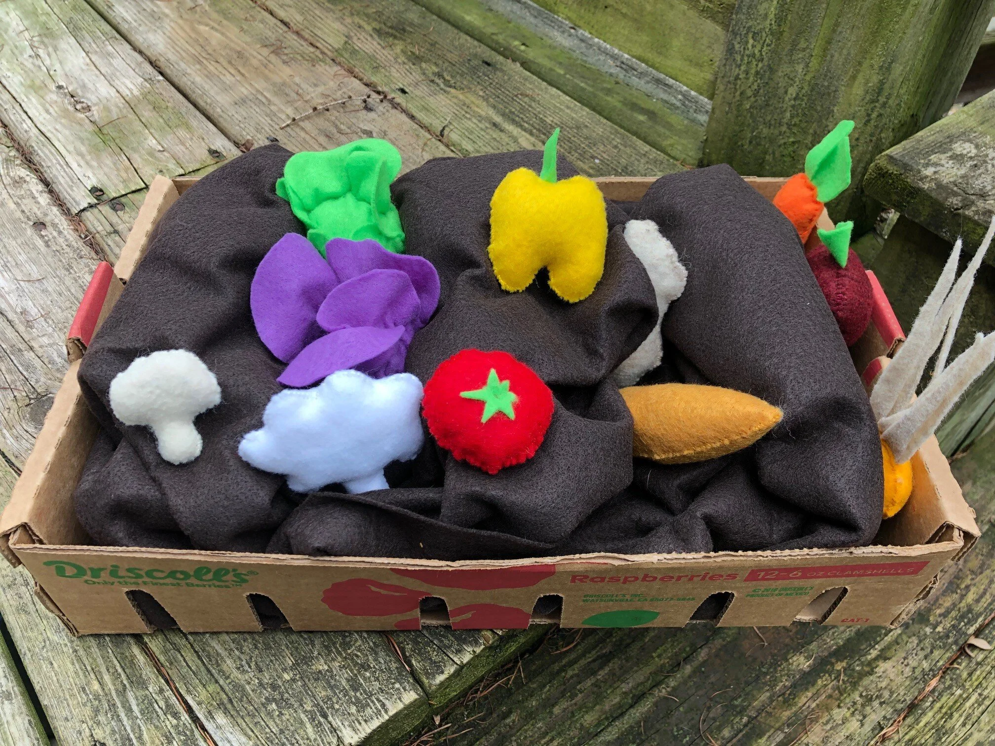 Veggie Garden 