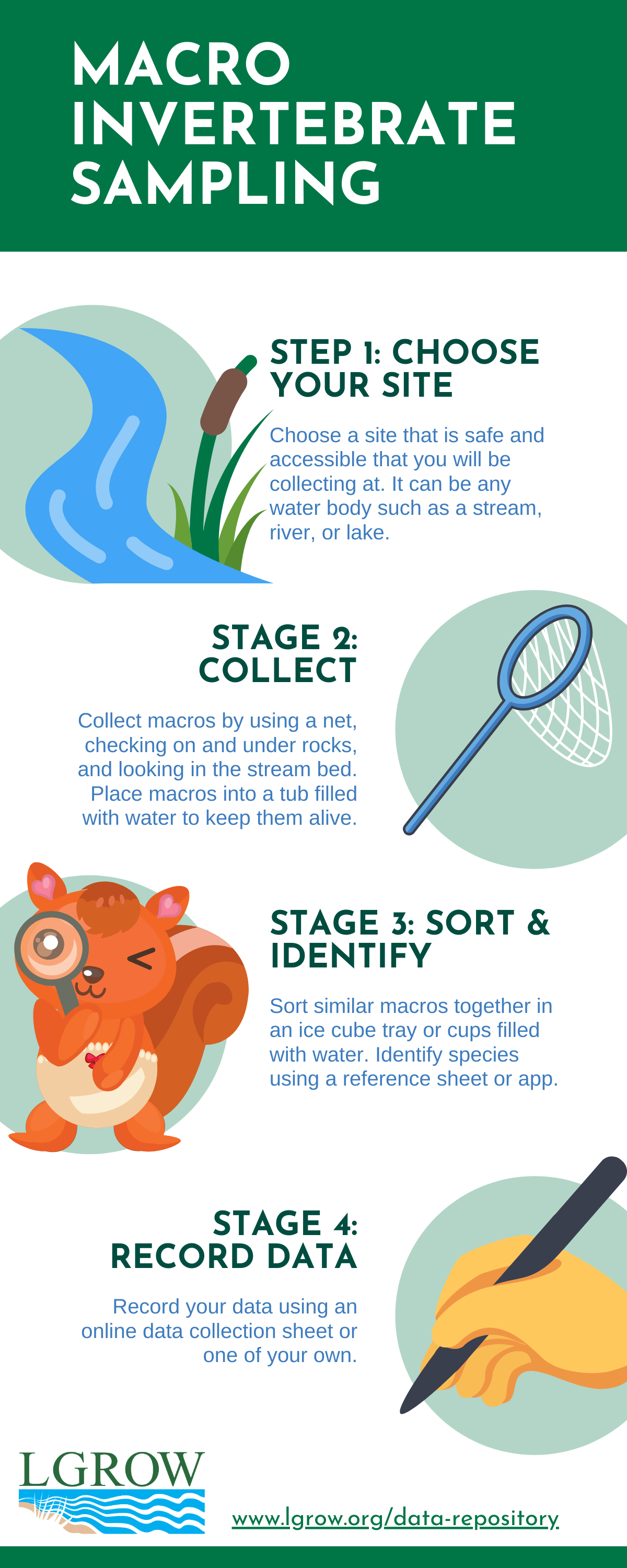 Macroinvertebrate Sampling for Water Quality