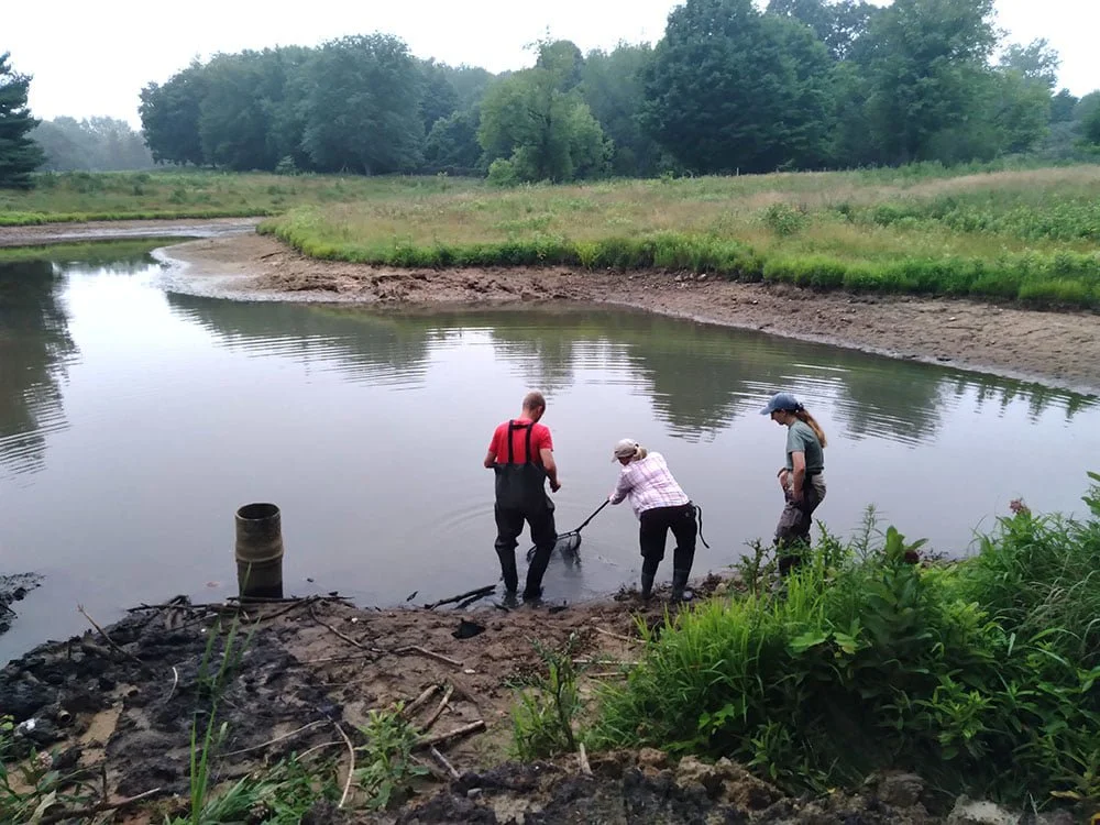 GSI Story: Highlands Partnership Reclaims Golf Course for Nature
