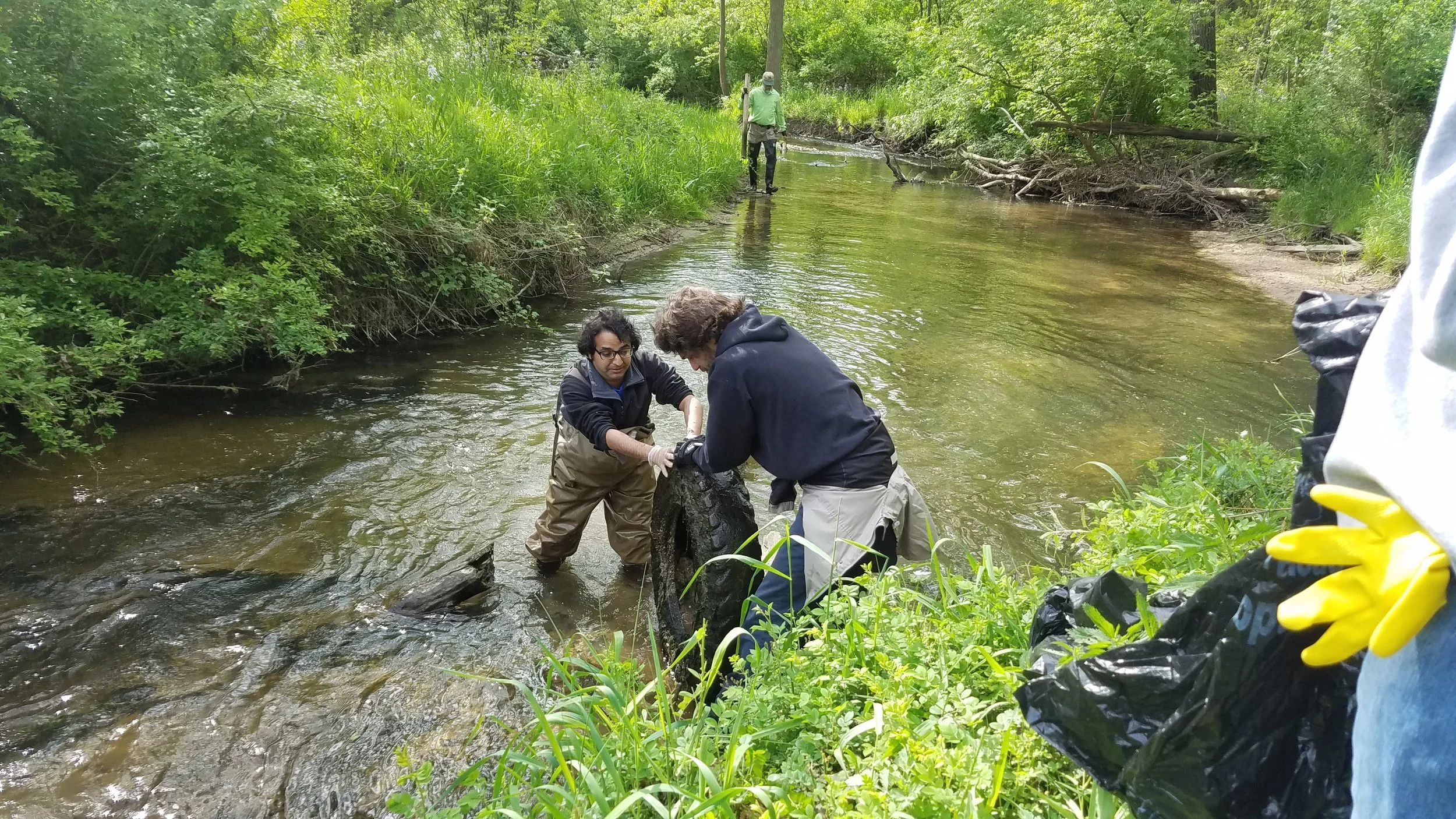 Indian Mill Creek Cleanup 