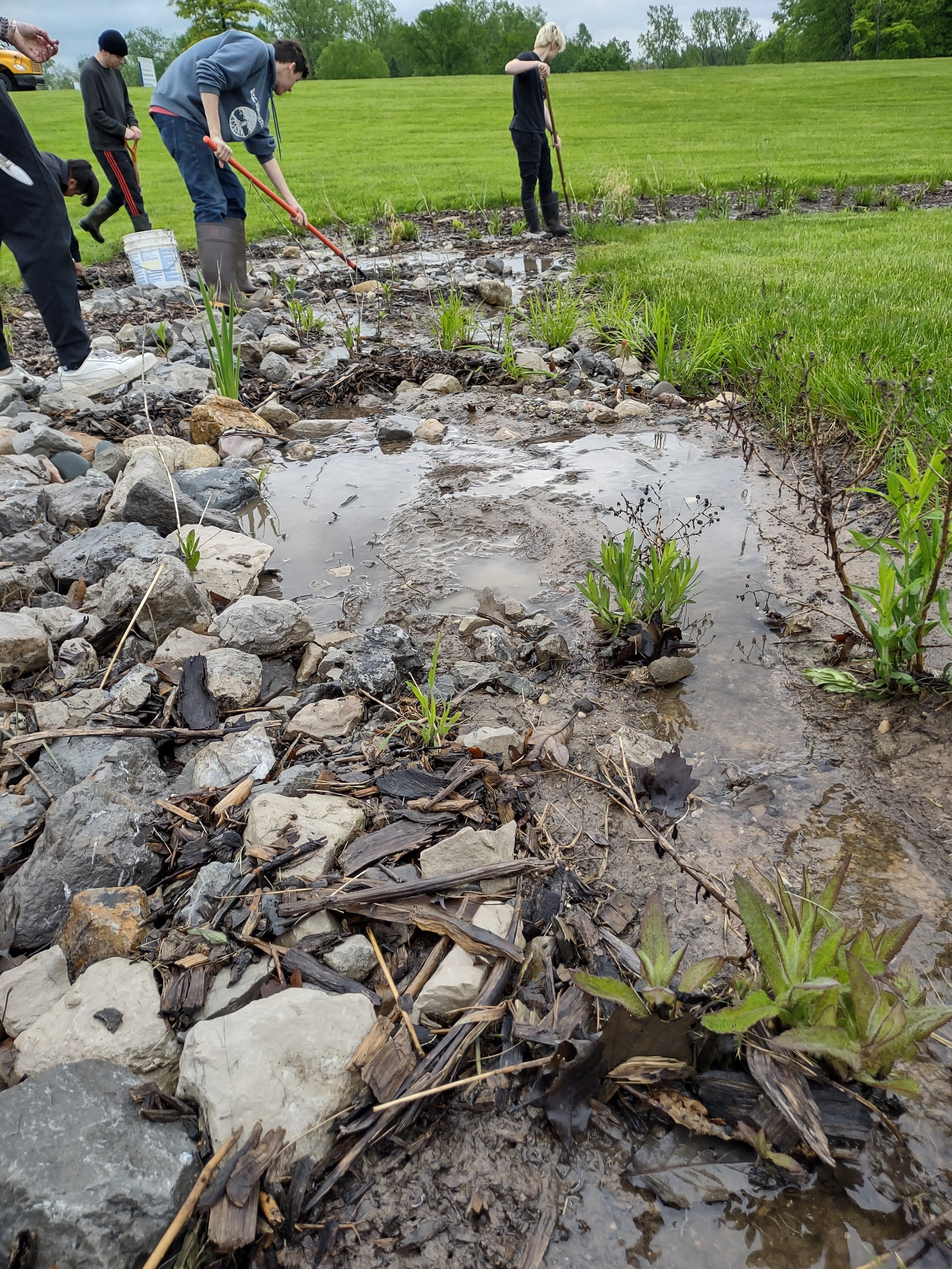 Bioswale Maintenance 