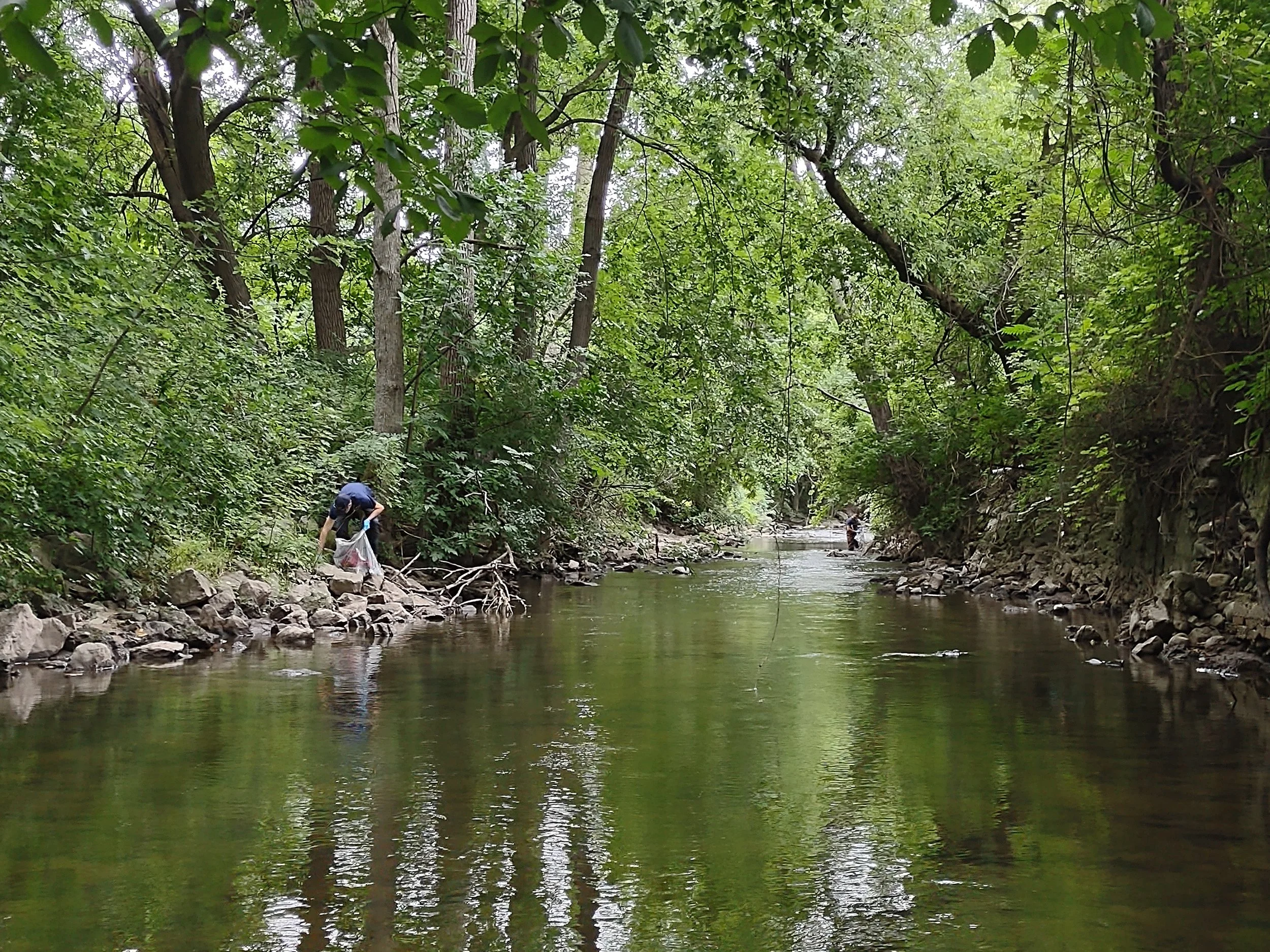 Actions for Rivers