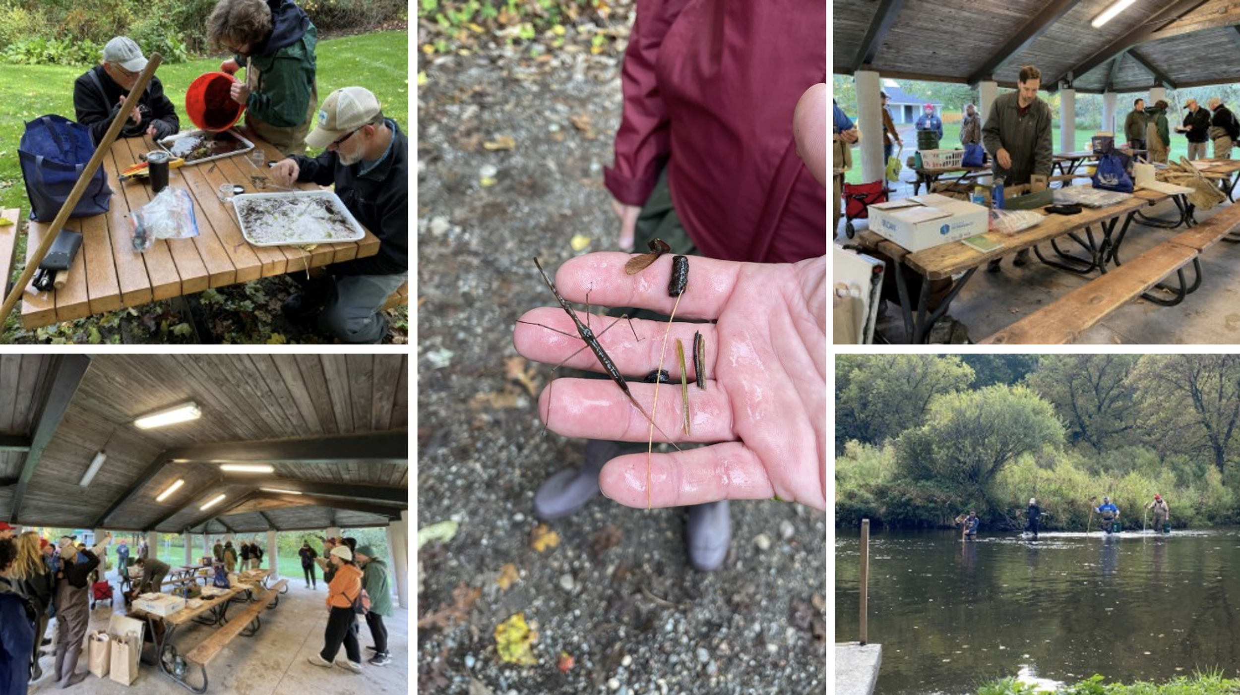 Fall MiCorps Sampling in the Rogue River