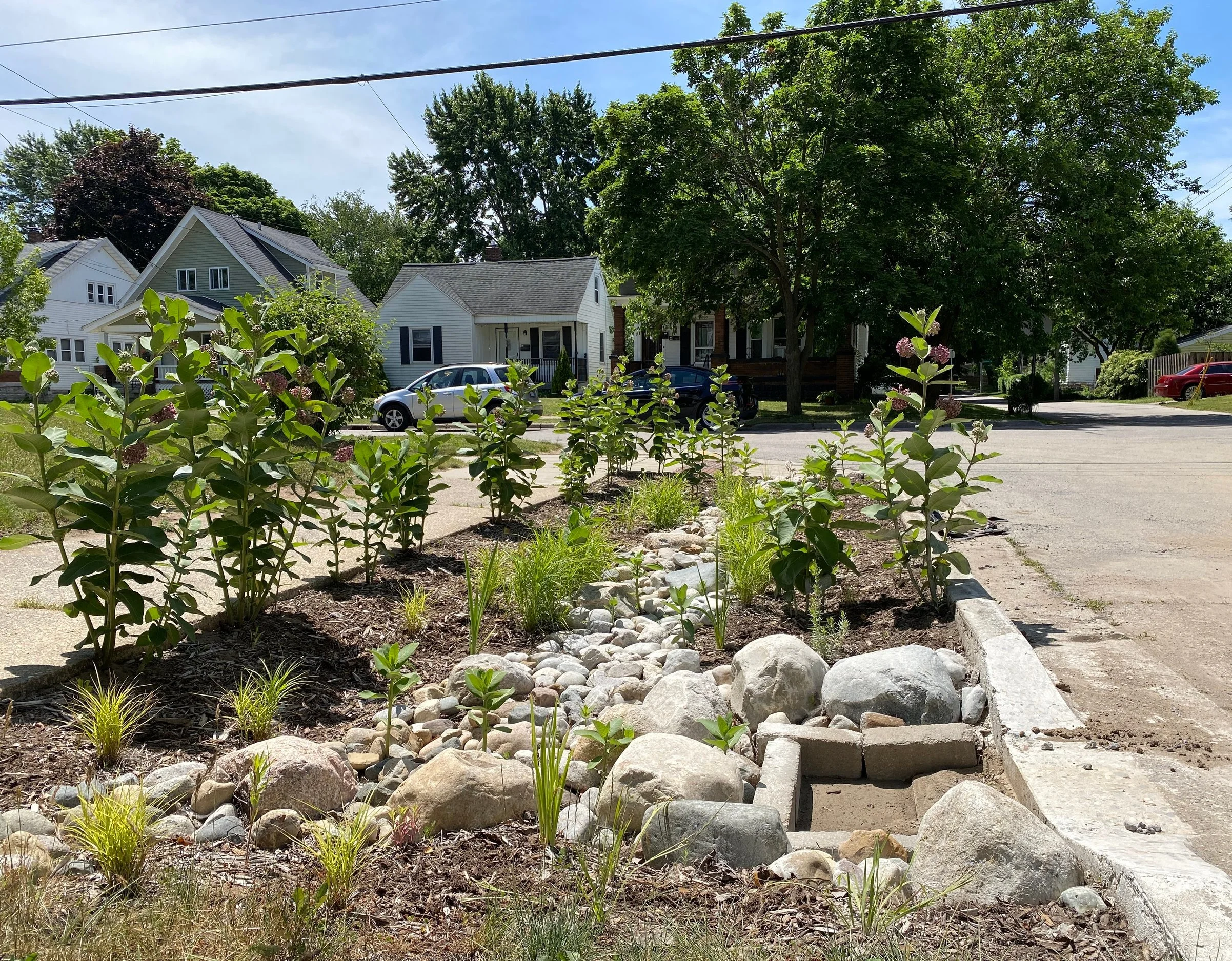 Rainscaping Update