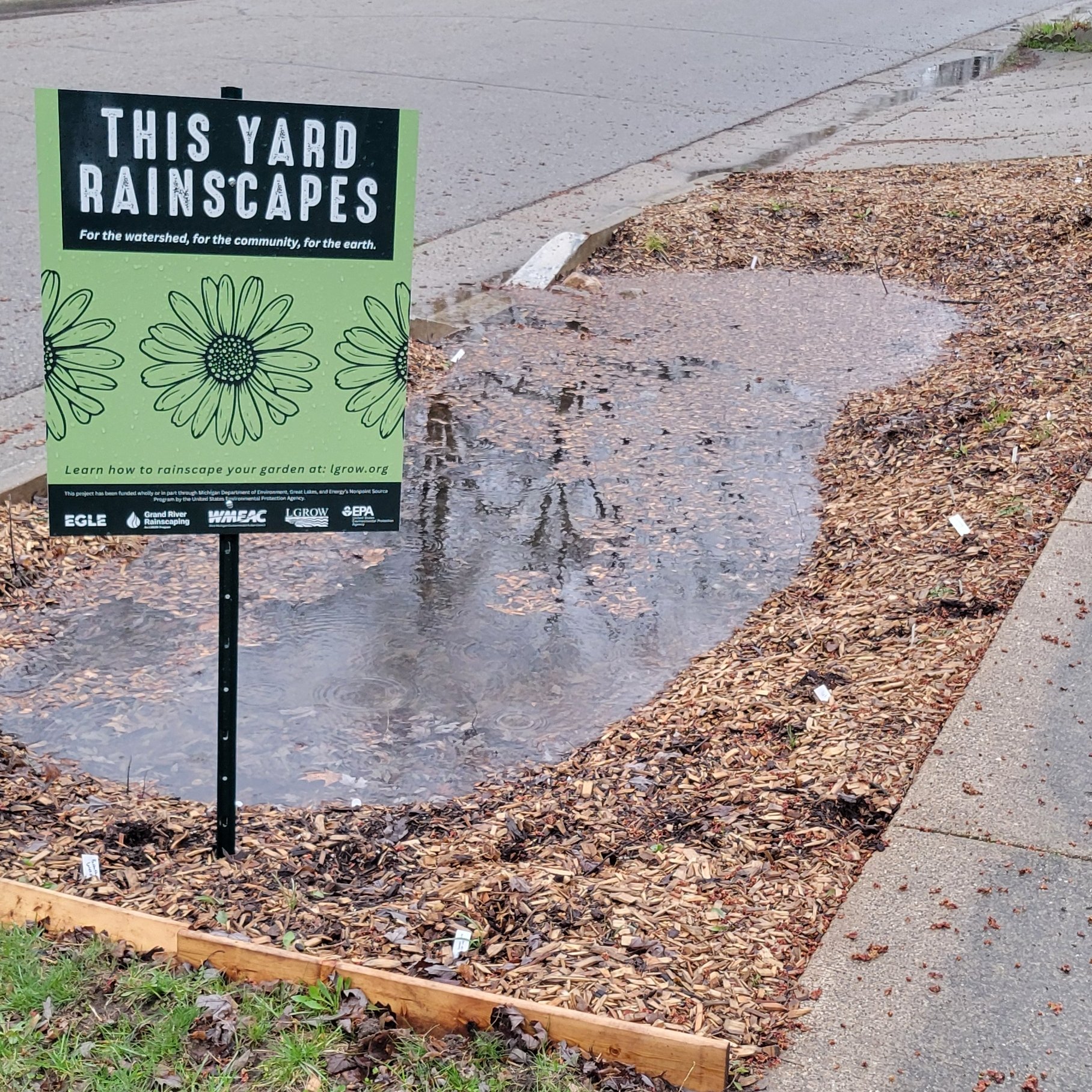 Merry After Rain Day.jpg