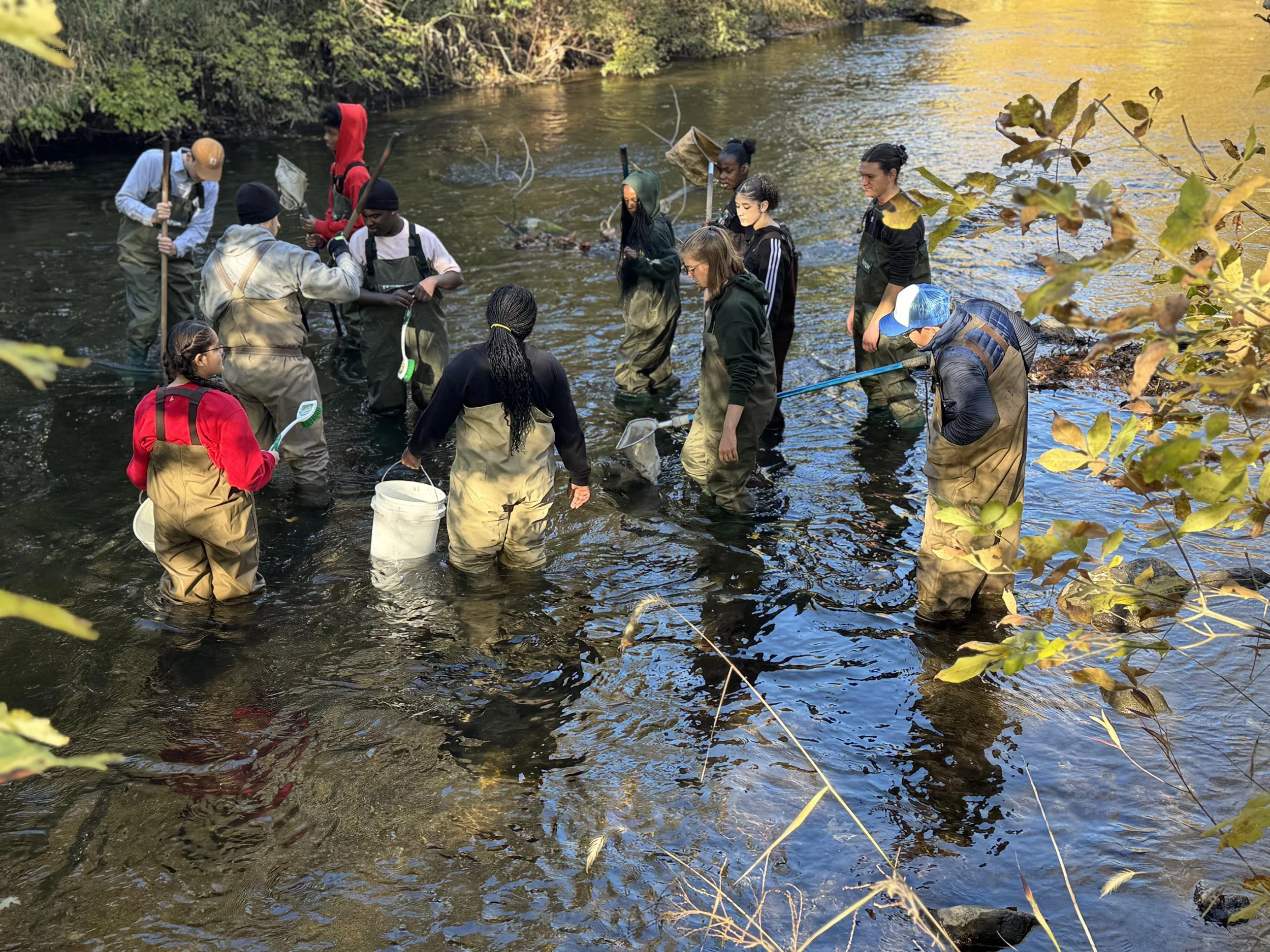 Sampling group at Coldwater.jpg