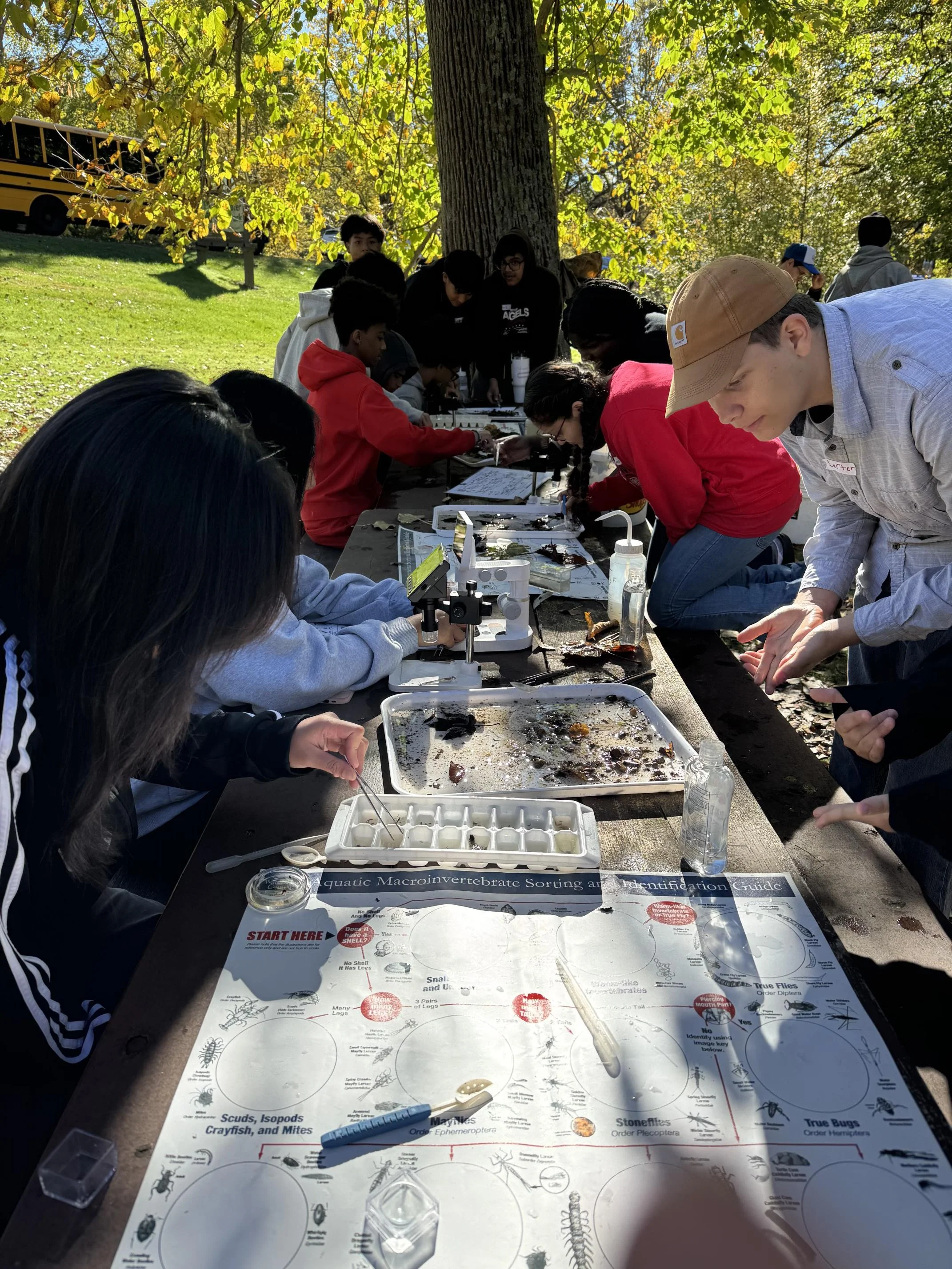 Sortin' Bugs at Coldwater County Park.jpg