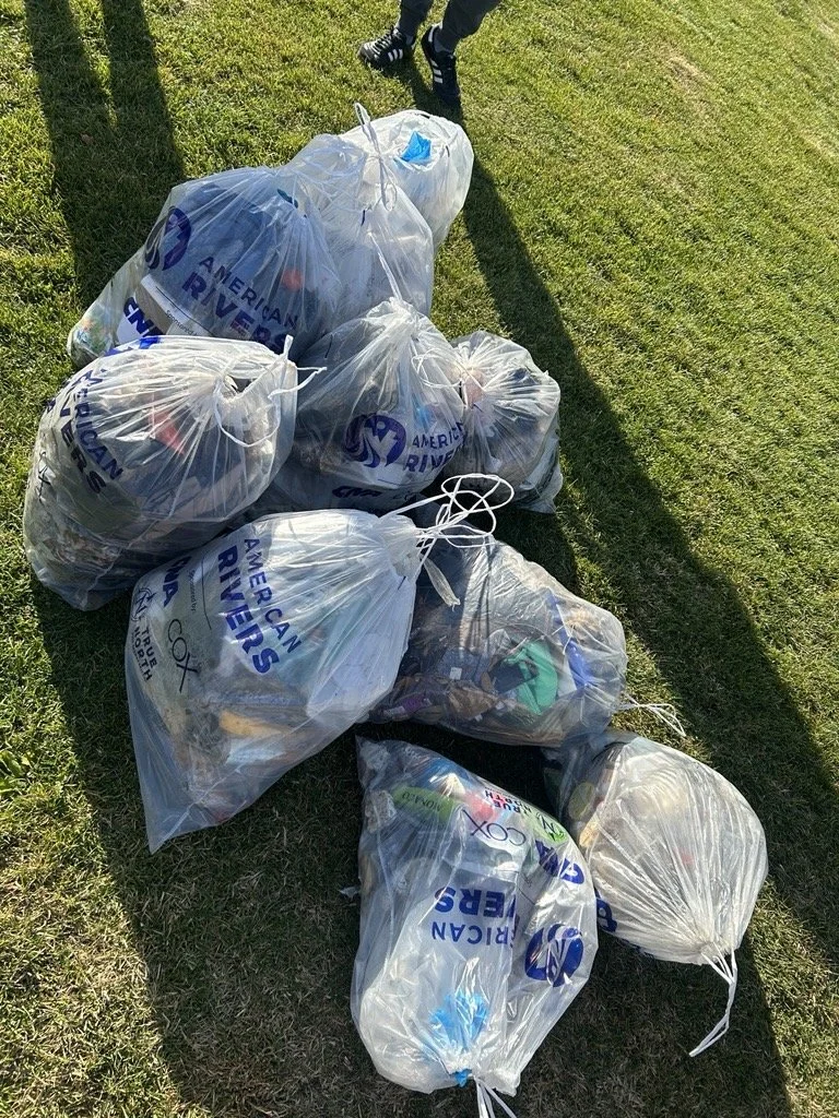 Trash bag total.jpg