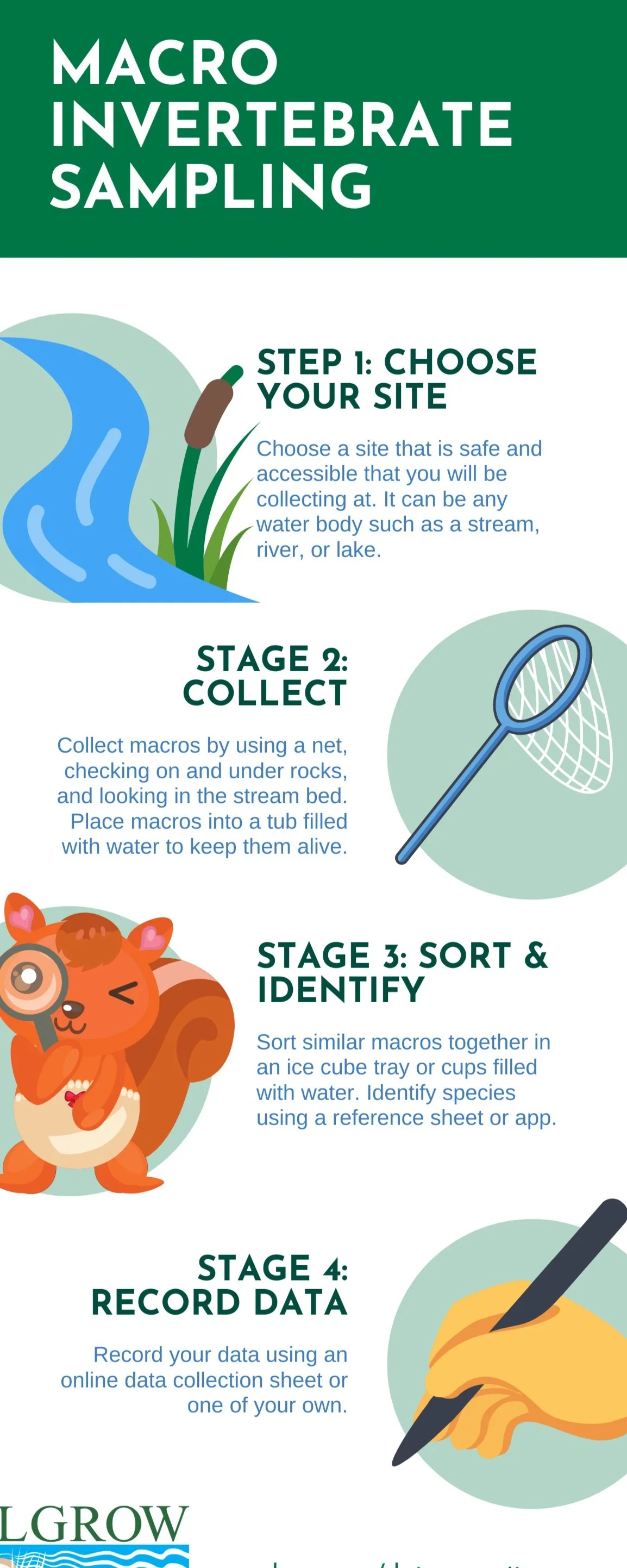 Hand Sampling Invertebrates Lower Grand River Organization of Watersheds News Macroinvertebrate ...