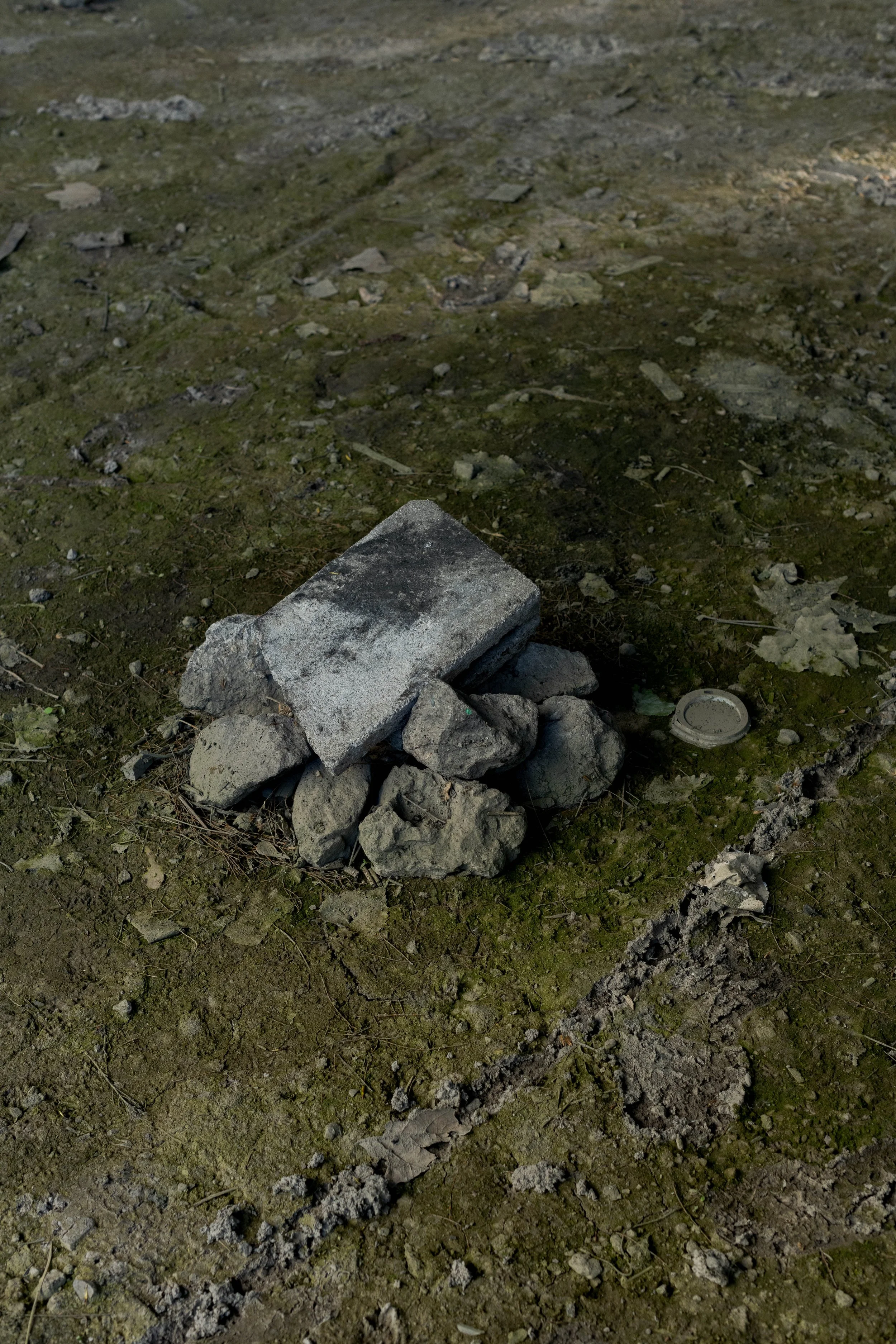 _0006990.jpg