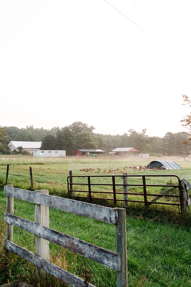 Shirefolk Farm, Richmond Virginia - Sarah Der