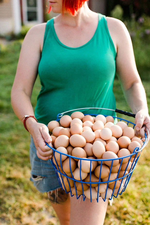 Local free range organic eggs - Sarah Der